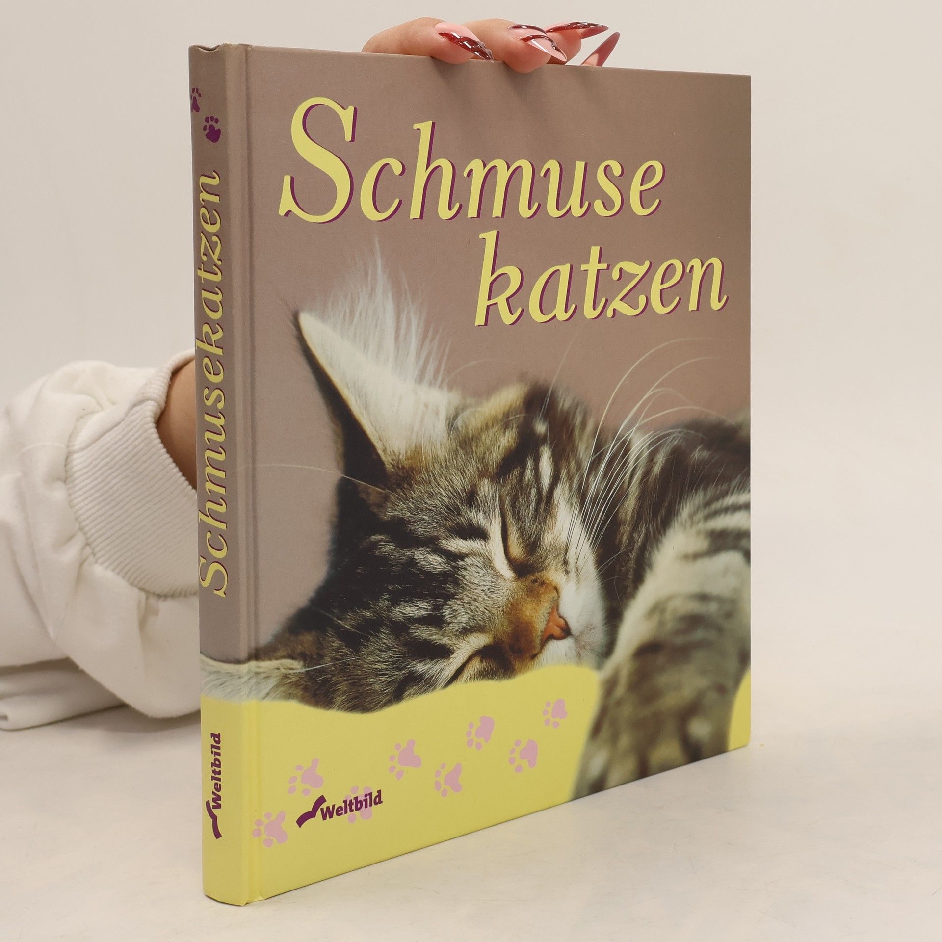 Schmuse katzen
