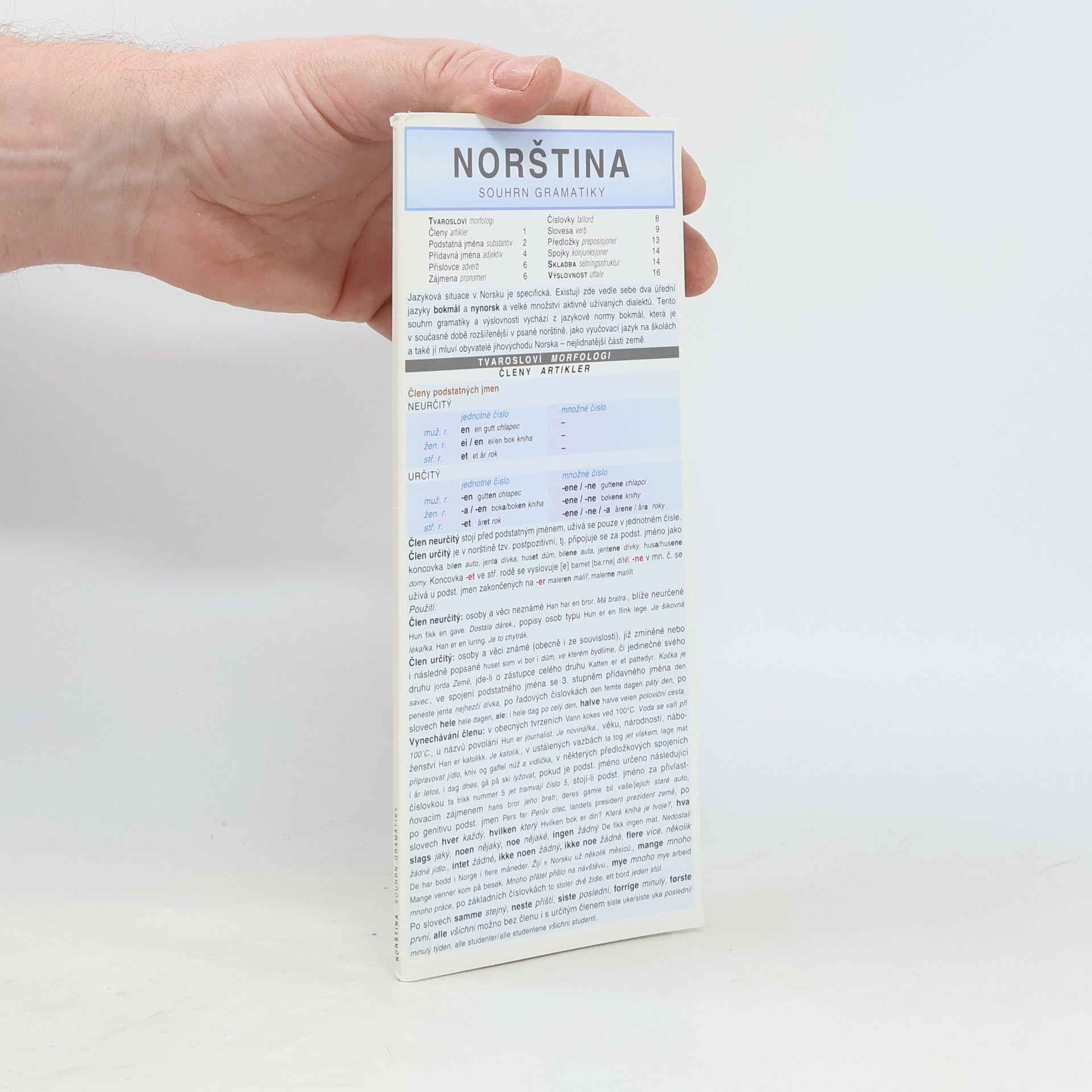 Klára Winklerová Norština - souhrn gramatiky