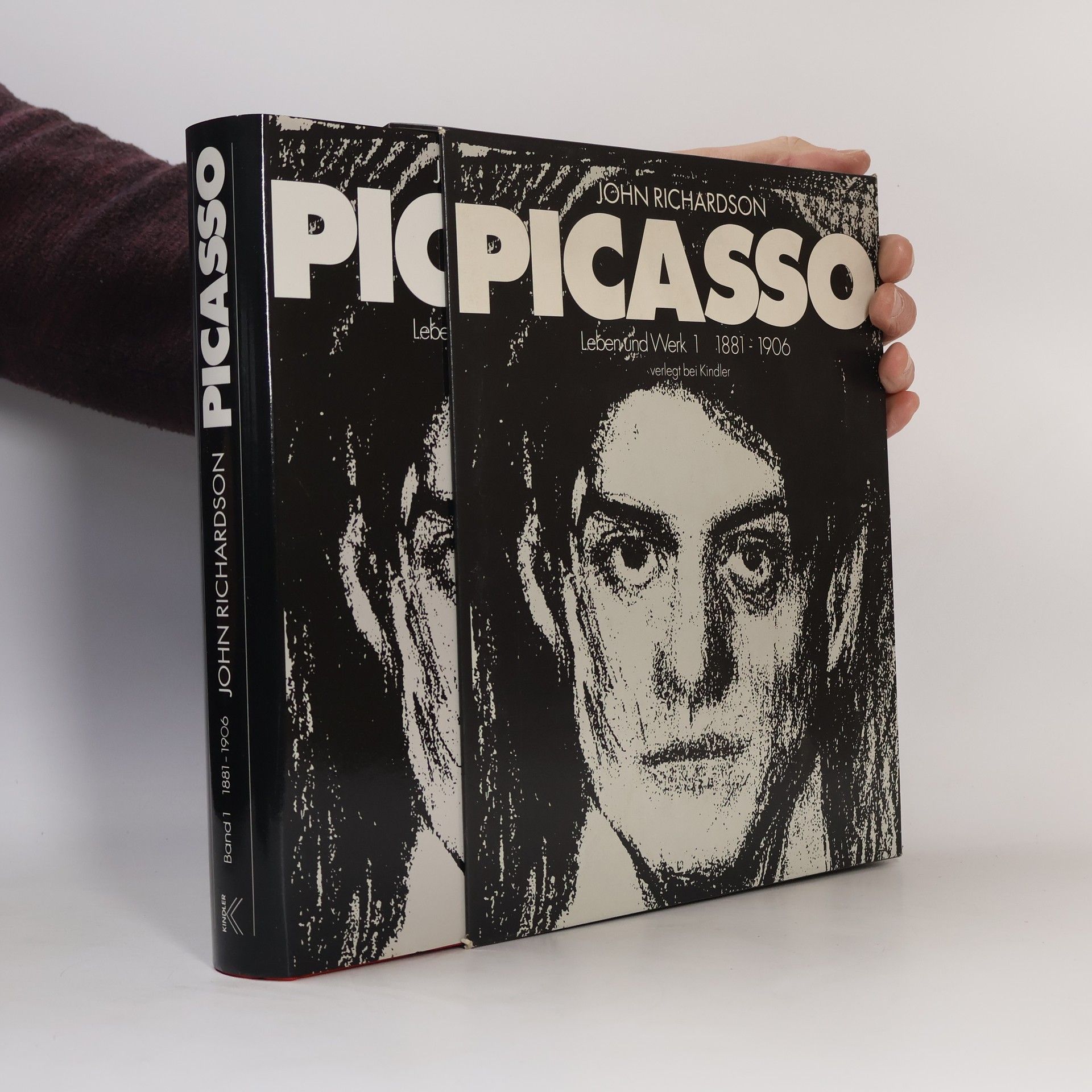 John Richardson Picasso : Leben und Werk. 1, 1881-1906