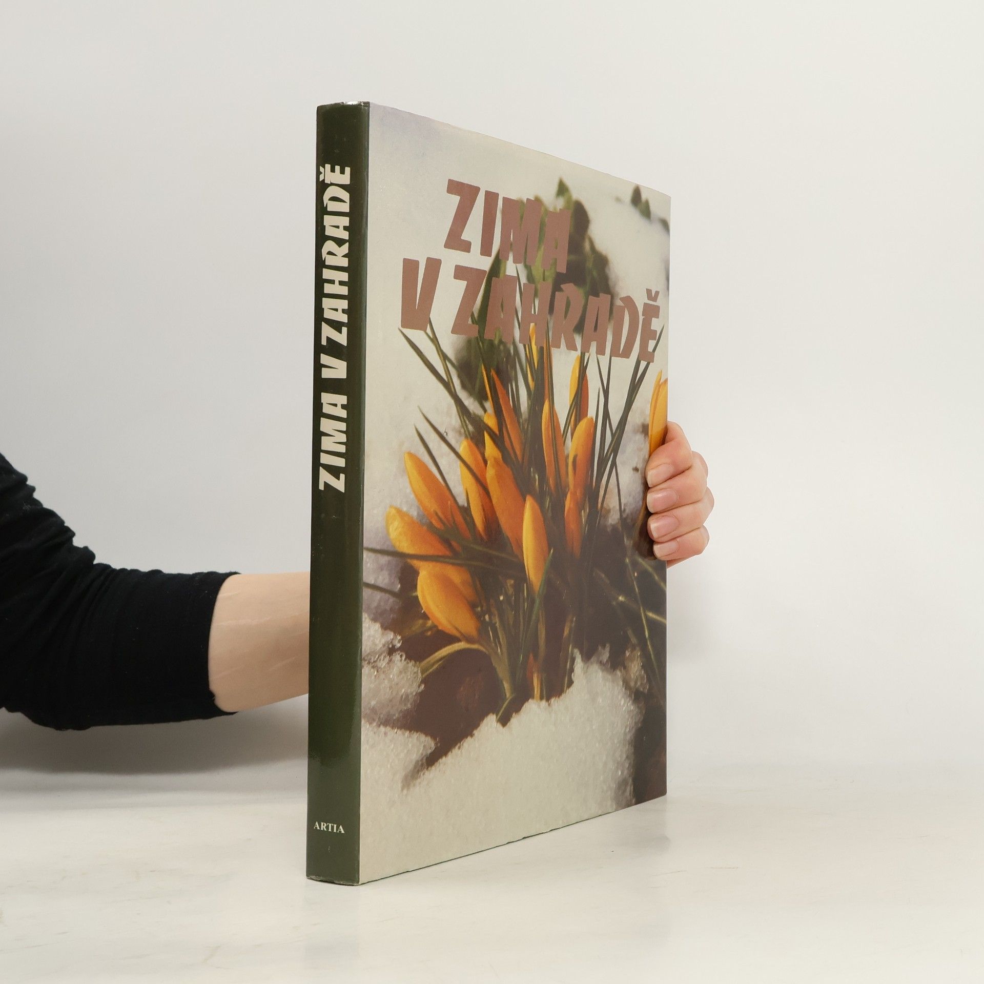 Eva Fürst Zima v zahradě