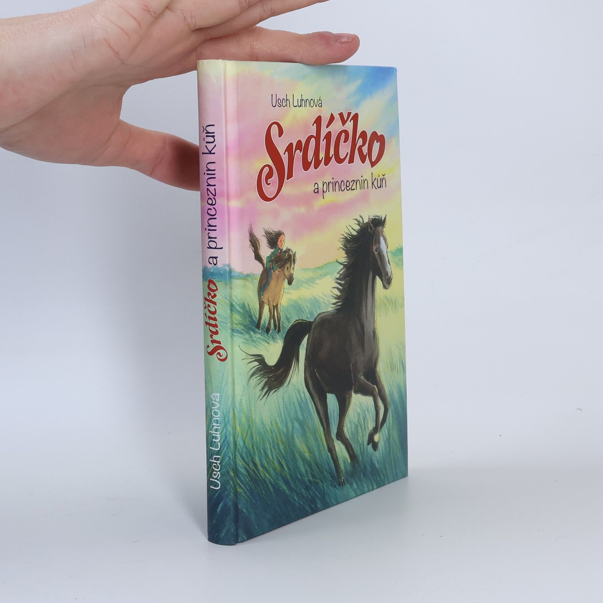 Usch Luhn Srdíčko a princeznin kůň