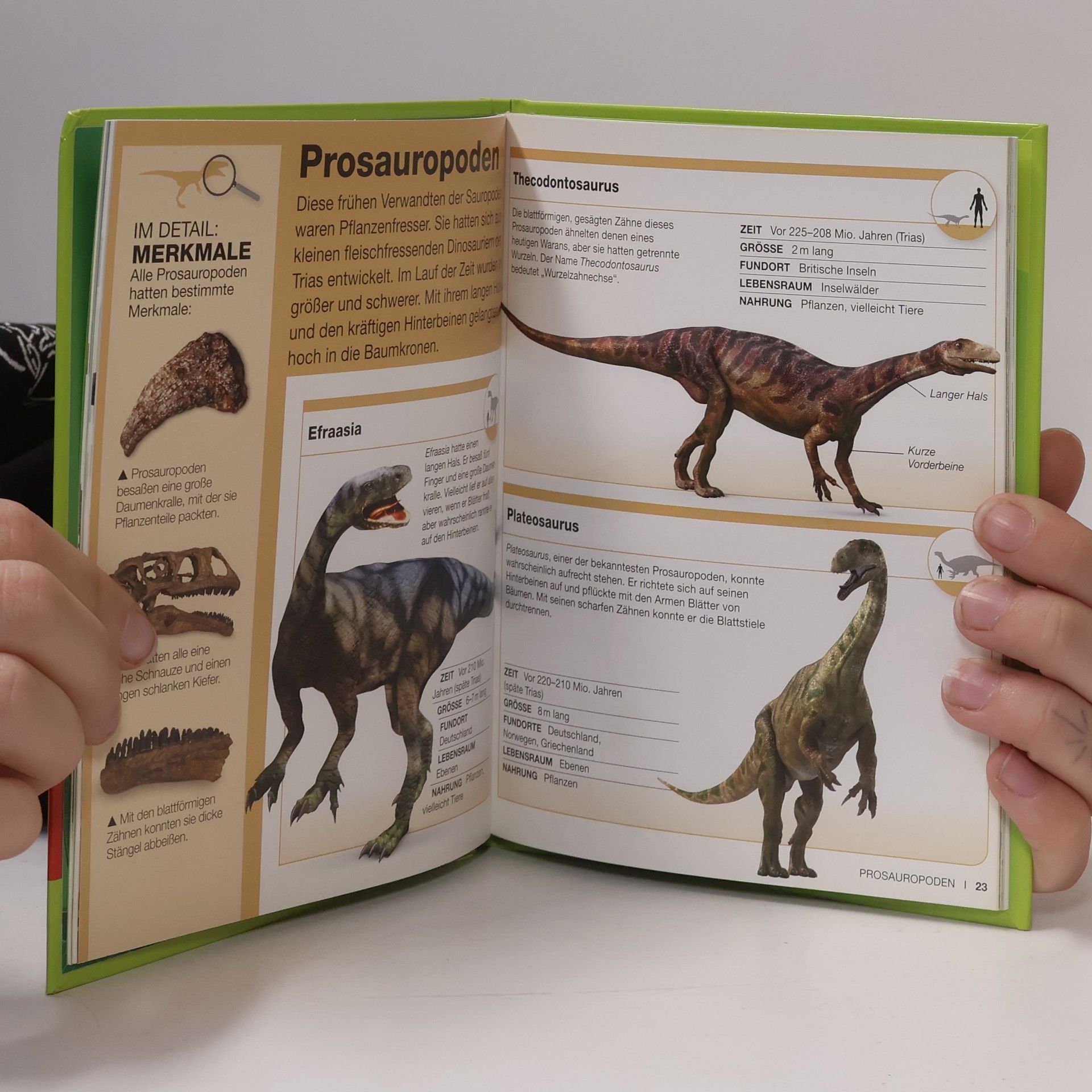 Kolektiv autorů Dinosaurier