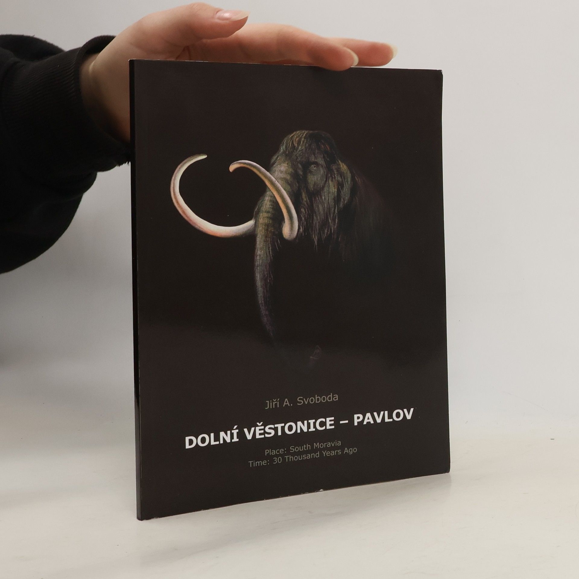 Jiří Svoboda Dolní Věstonice. Pavlov