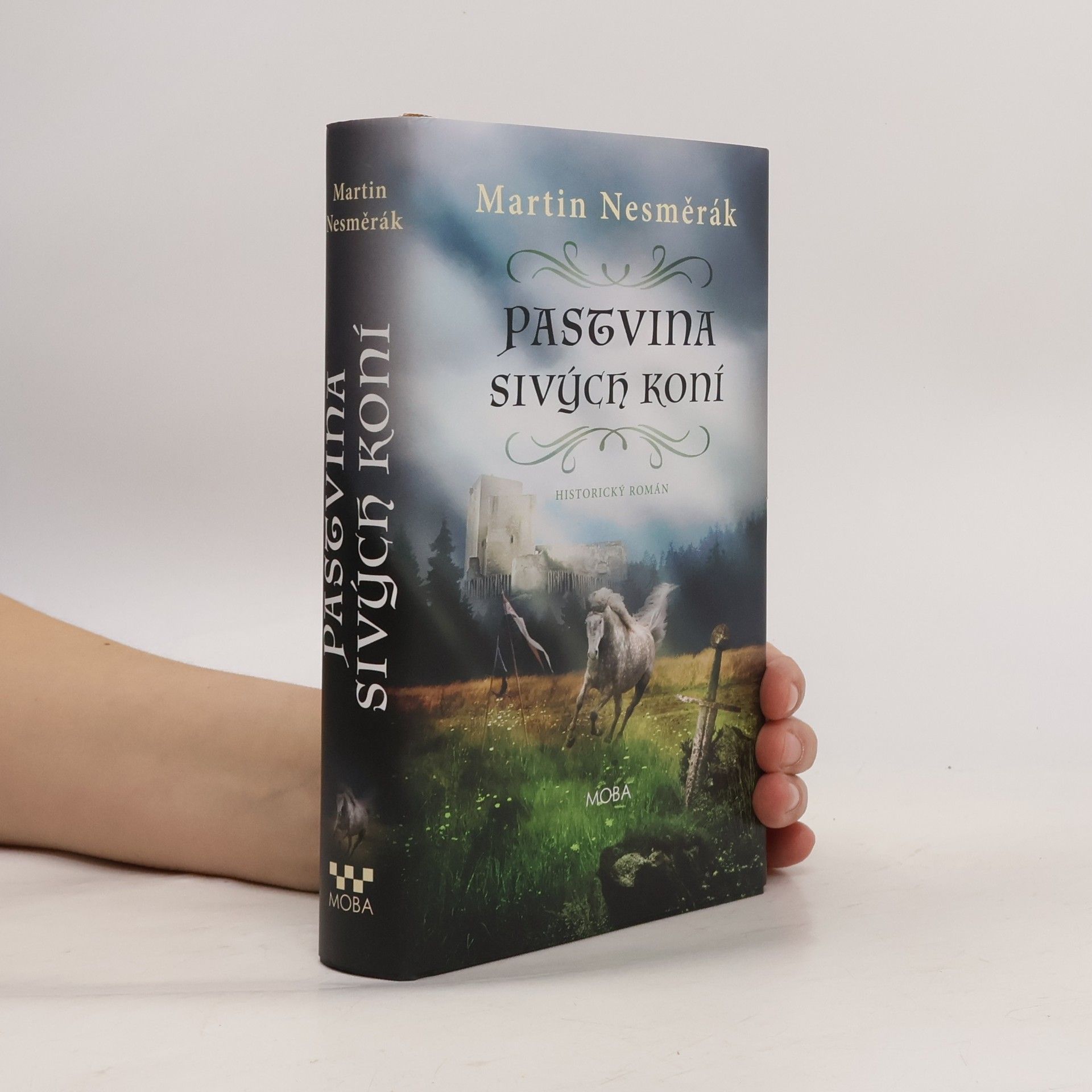 Martin Nesměrák Pastvina sivých koní