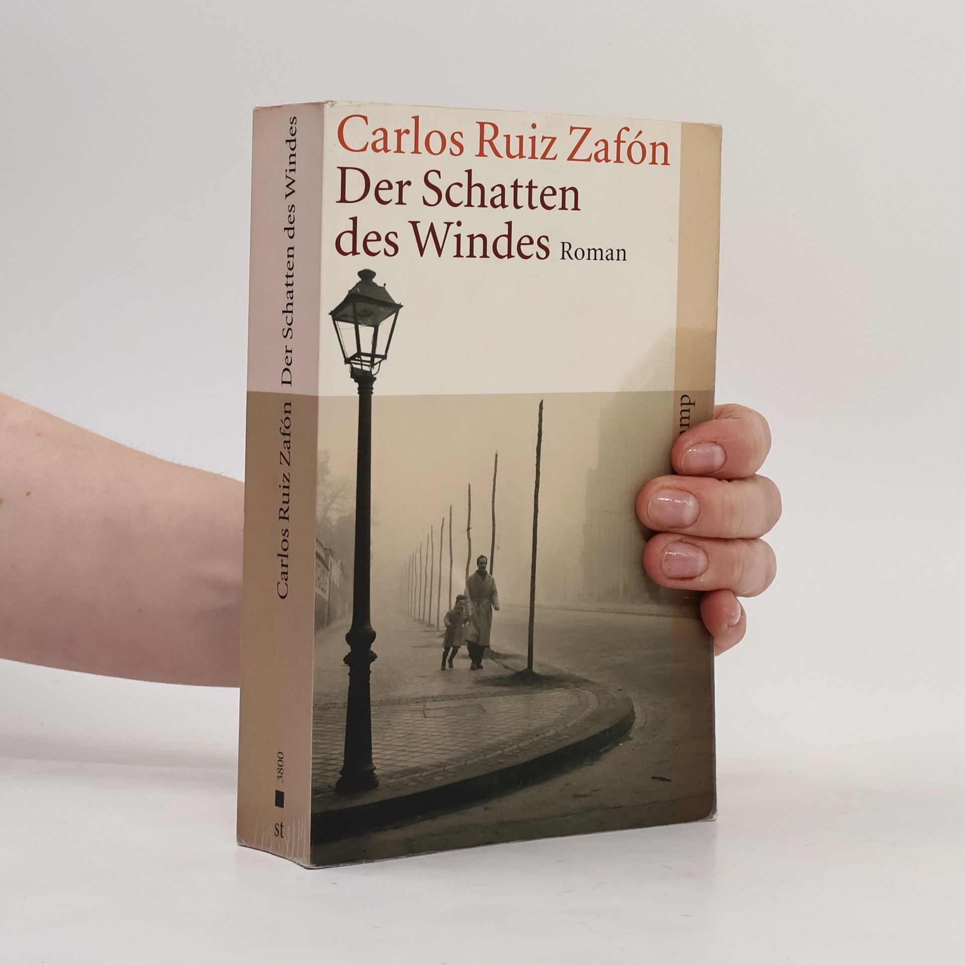 Carlos Ruiz Zafón Der Schatten des Windes