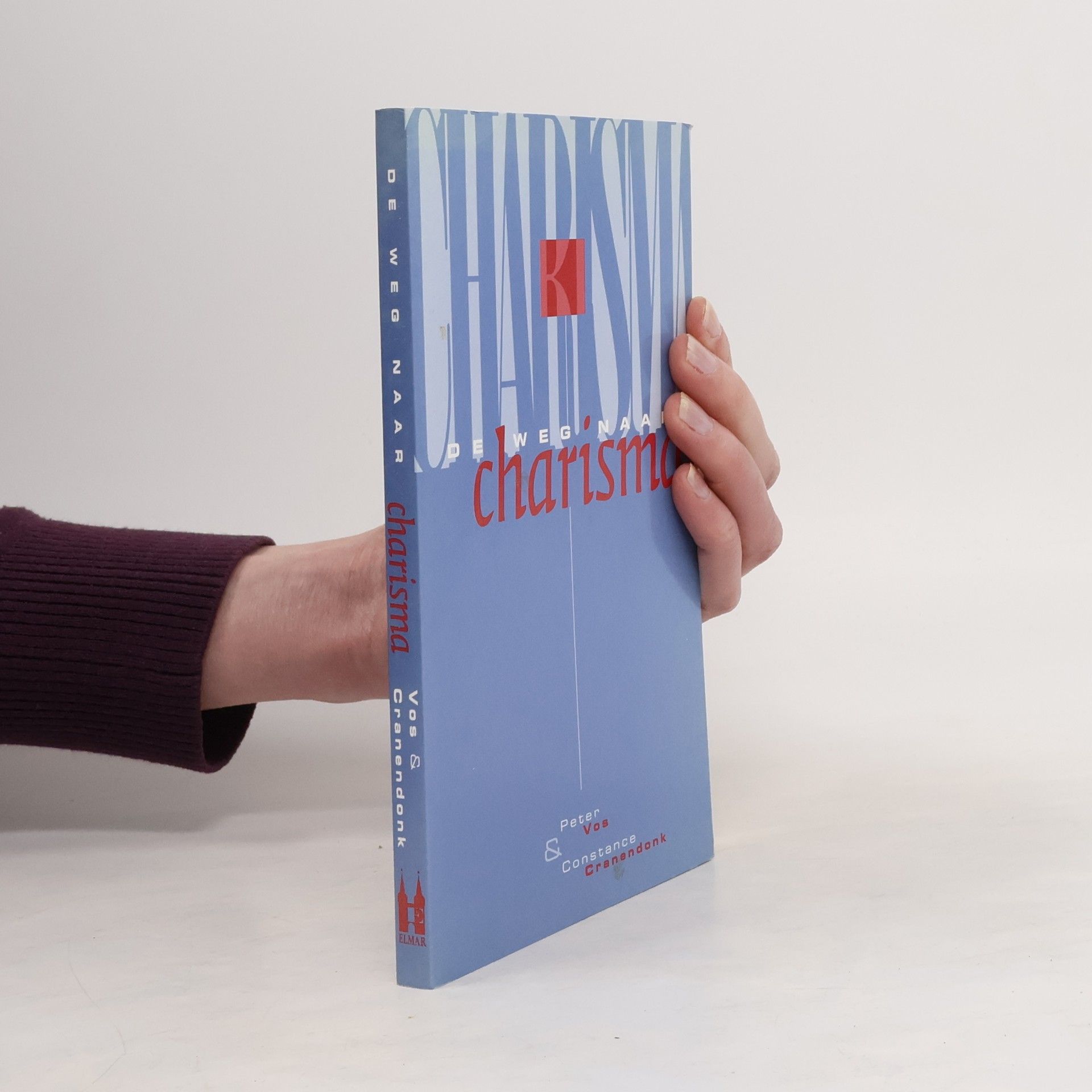 Peter Vos De weg naar charisma