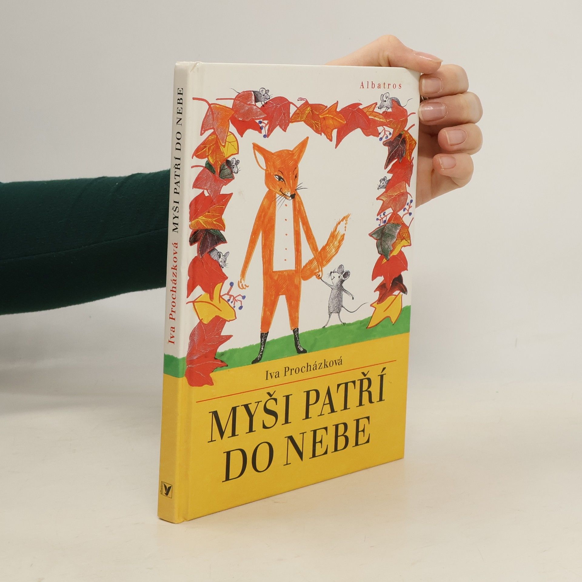 Iva Procházková Myši patří do nebe