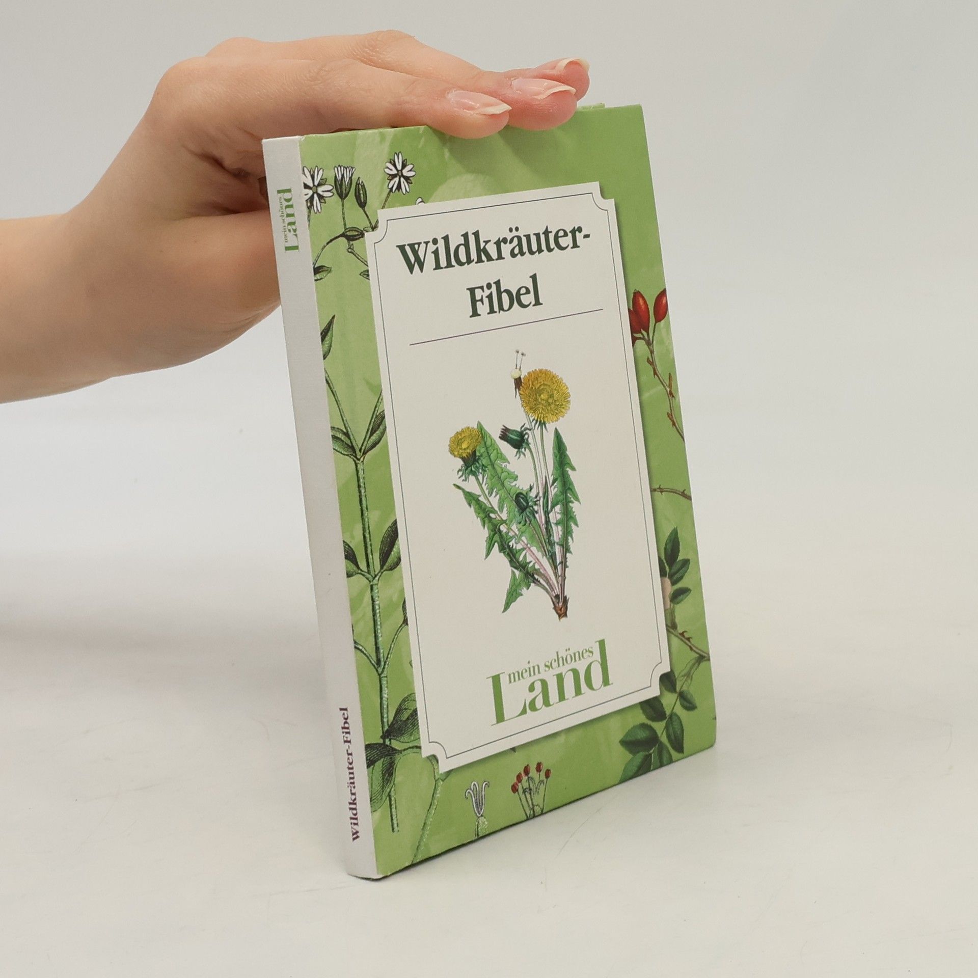 Autorenkollektiv Wildkräuter-Fibel