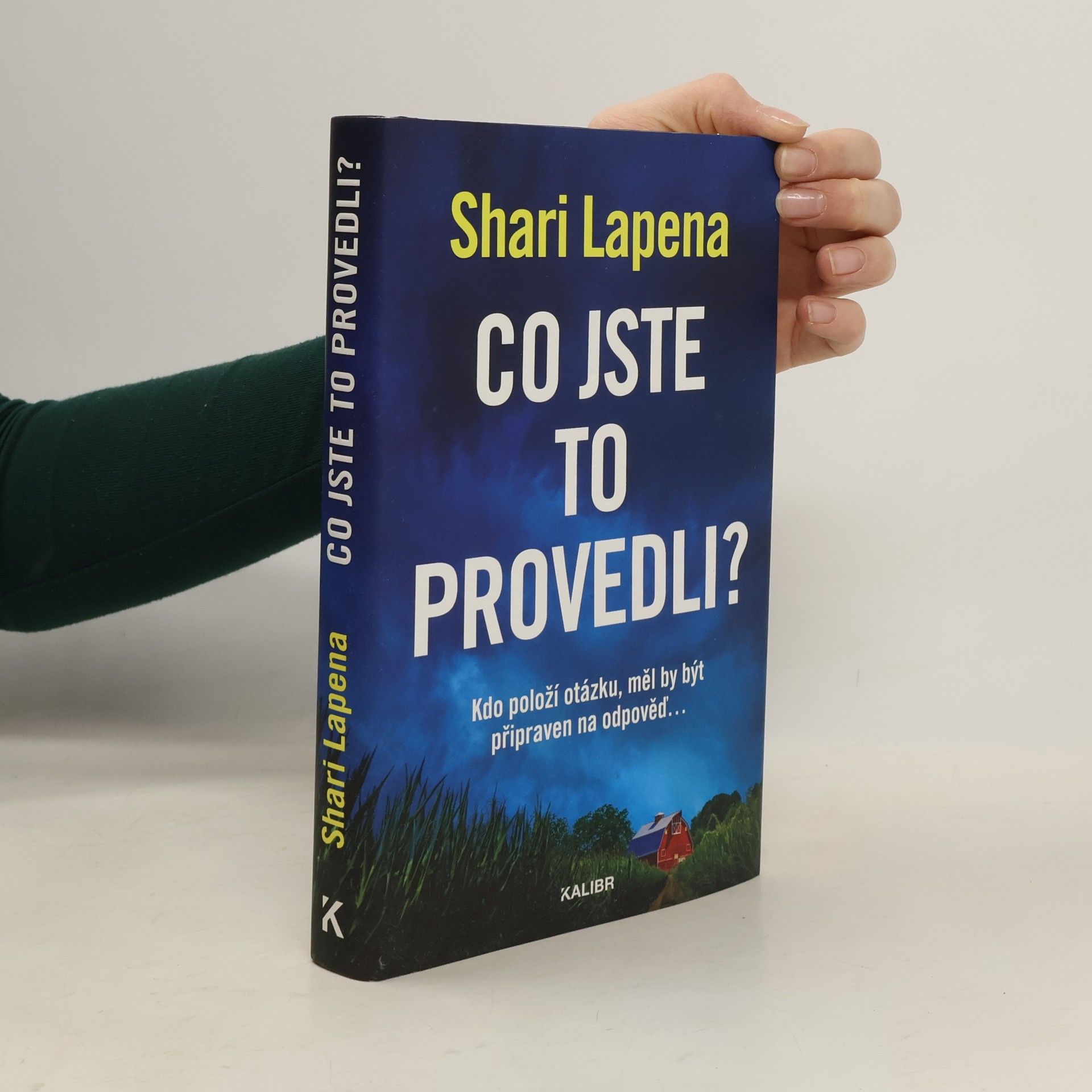Shari Lapena Co jste to provedli?