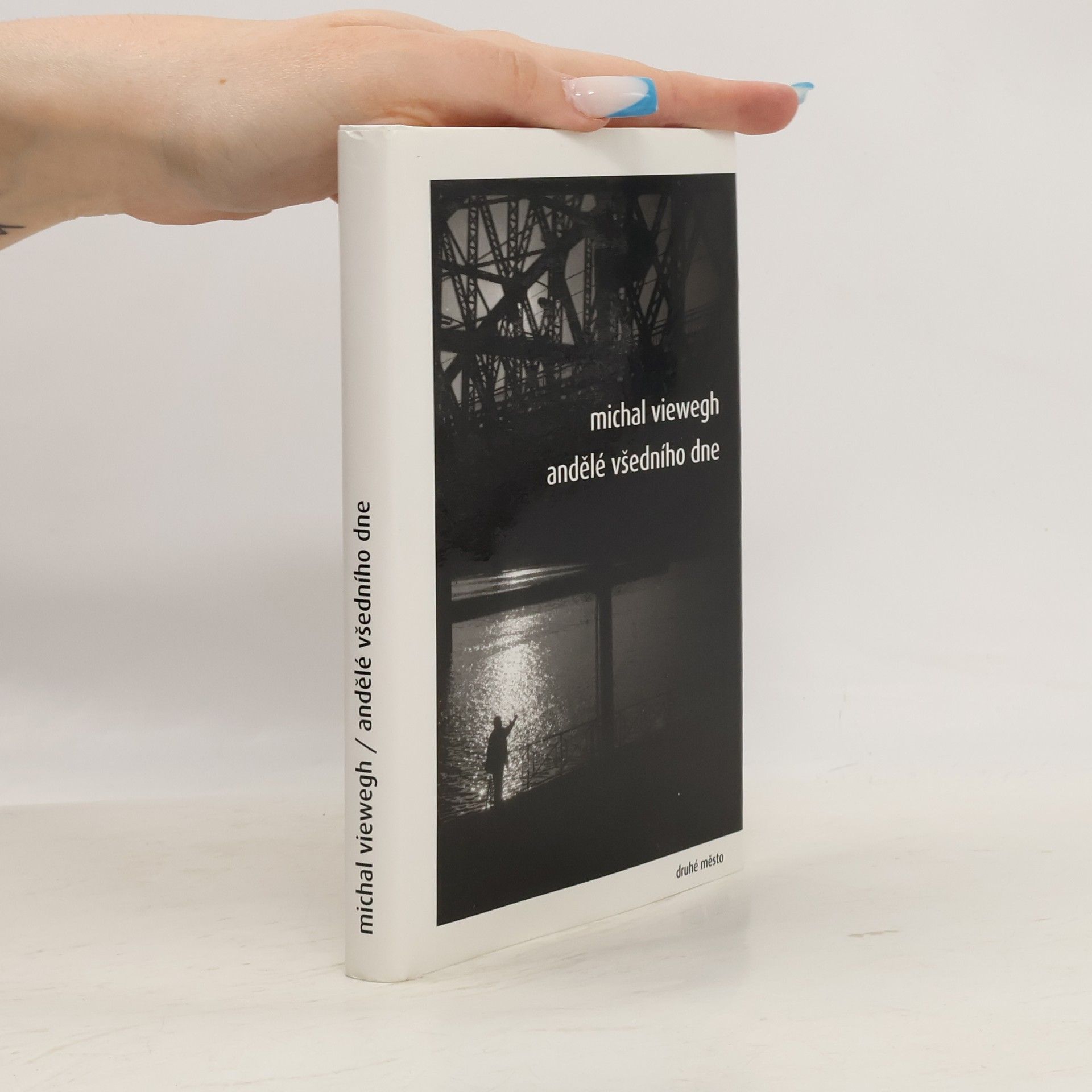 Michal Viewegh Andělé všedního dne