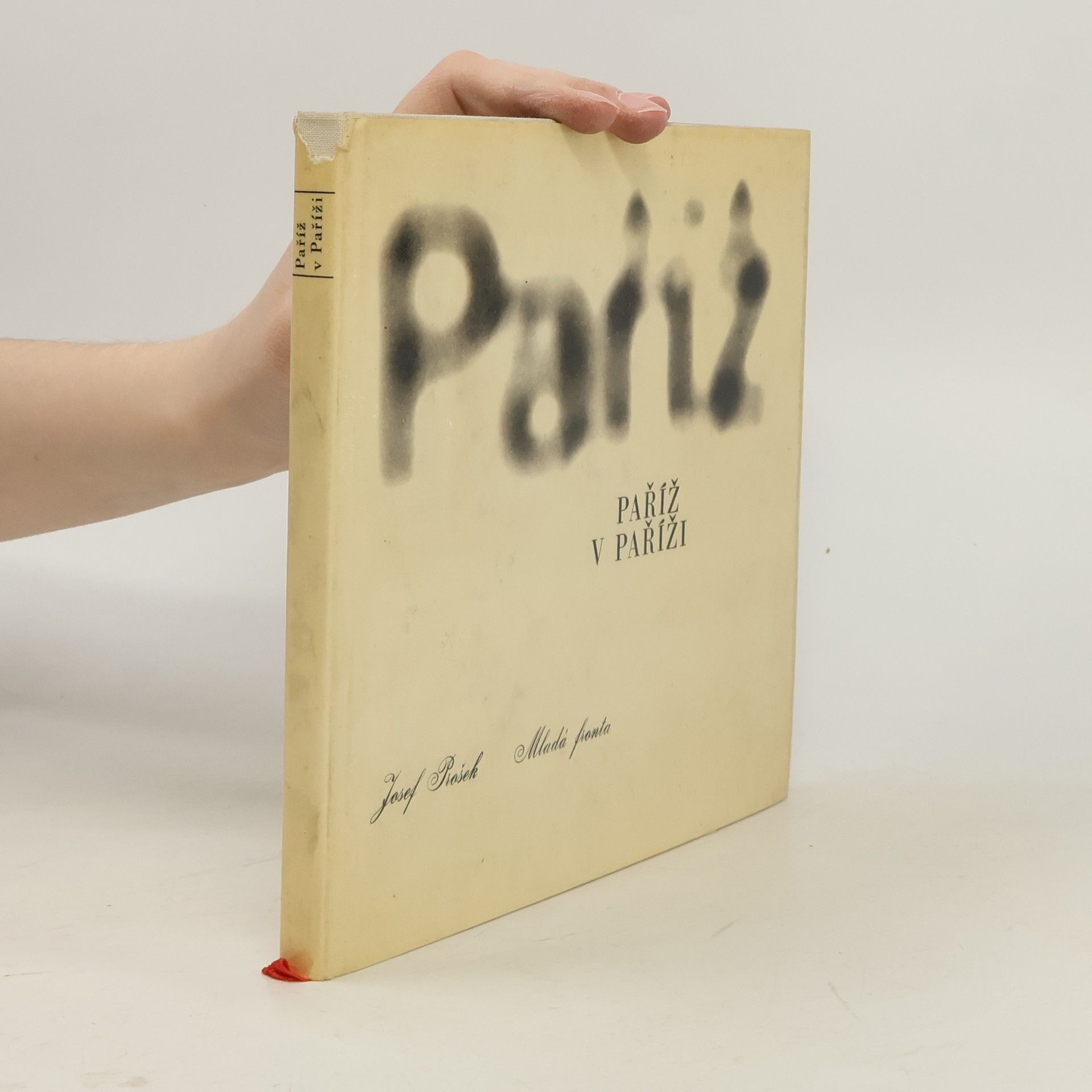 Paříž v Paříži