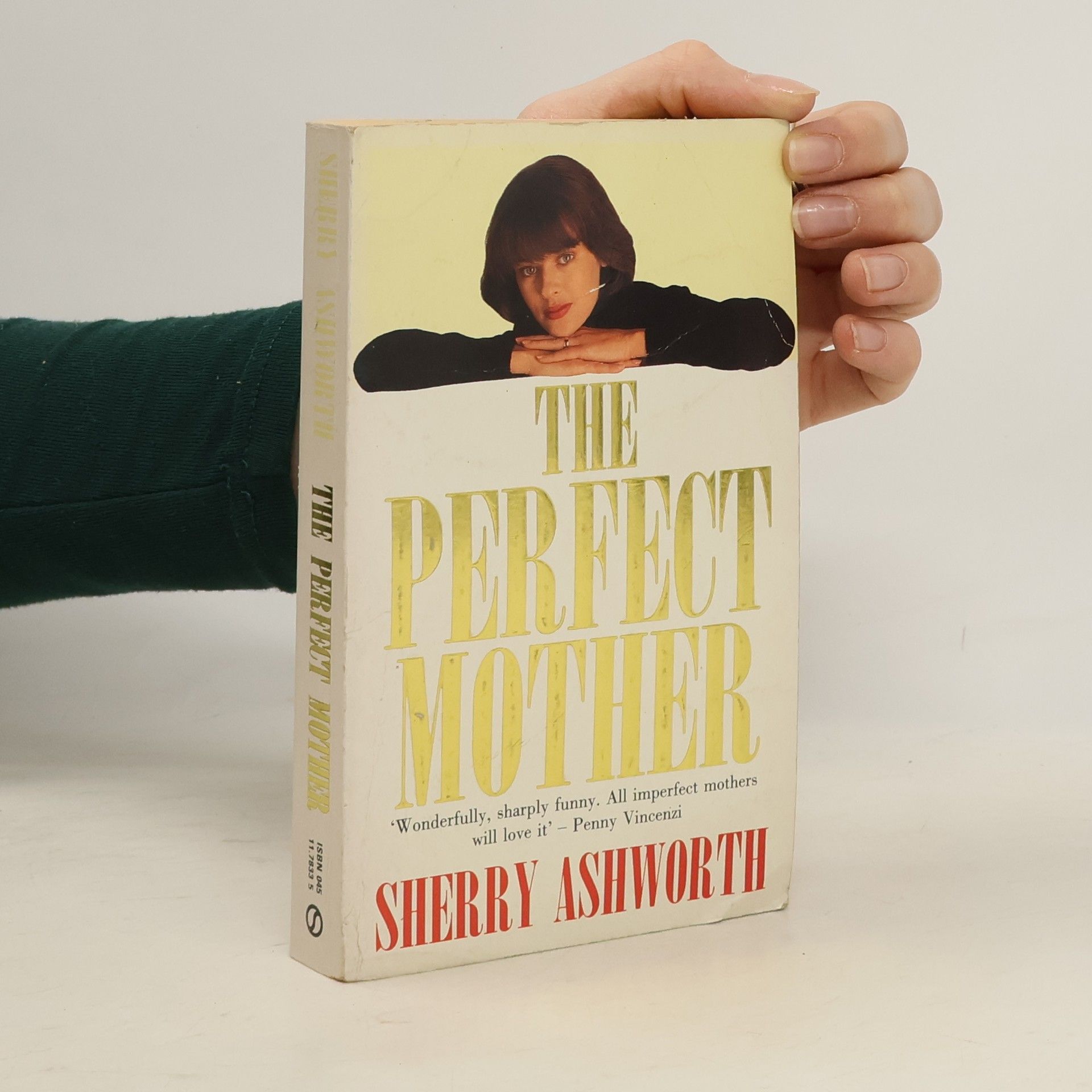 Sherry Ashworth The Perfect Mother