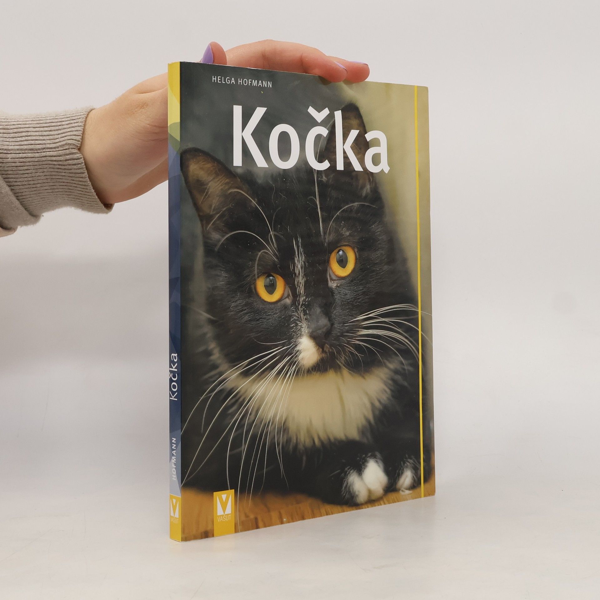 Ivana Čejková Kočka