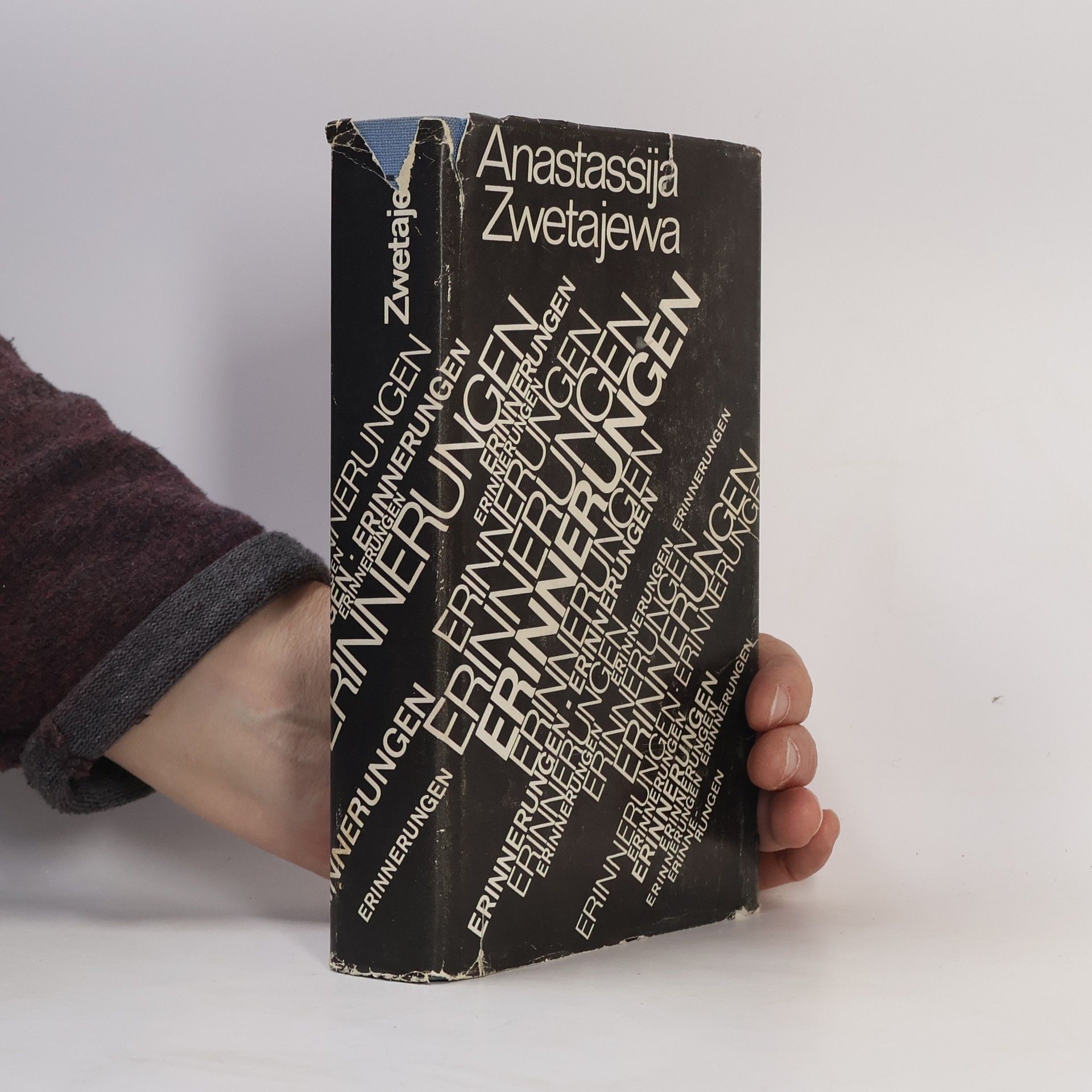 Anastassija Zwetajewa Erinnerungen