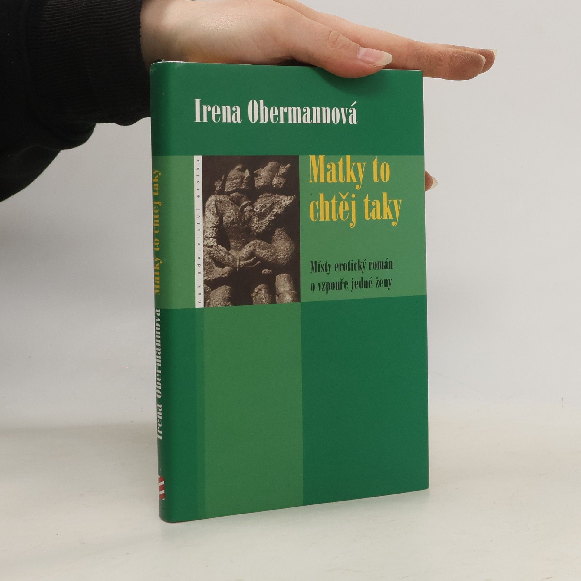 Irena Obermannová Matky to chtěj taky