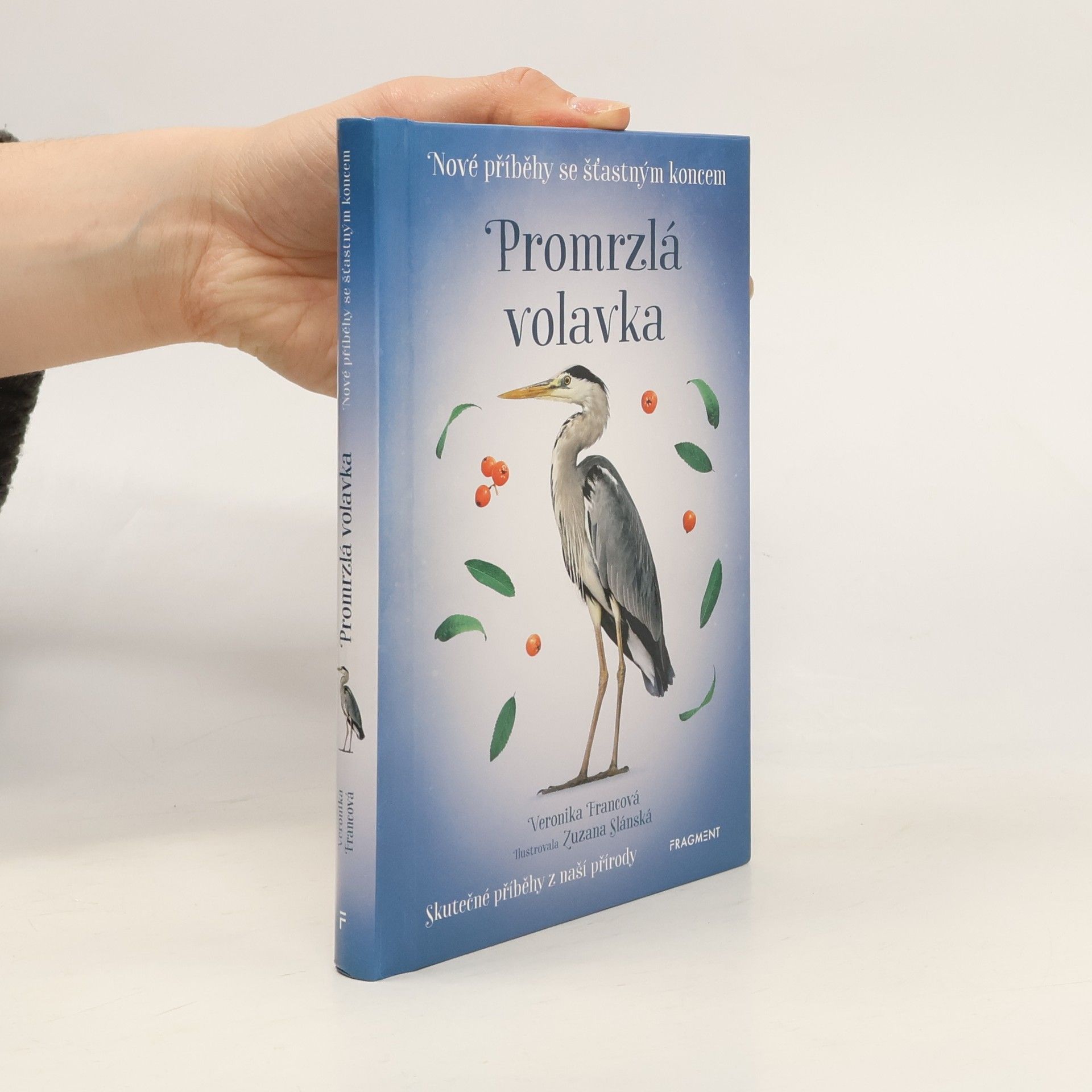 Veronika Francová Promrzlá volavka