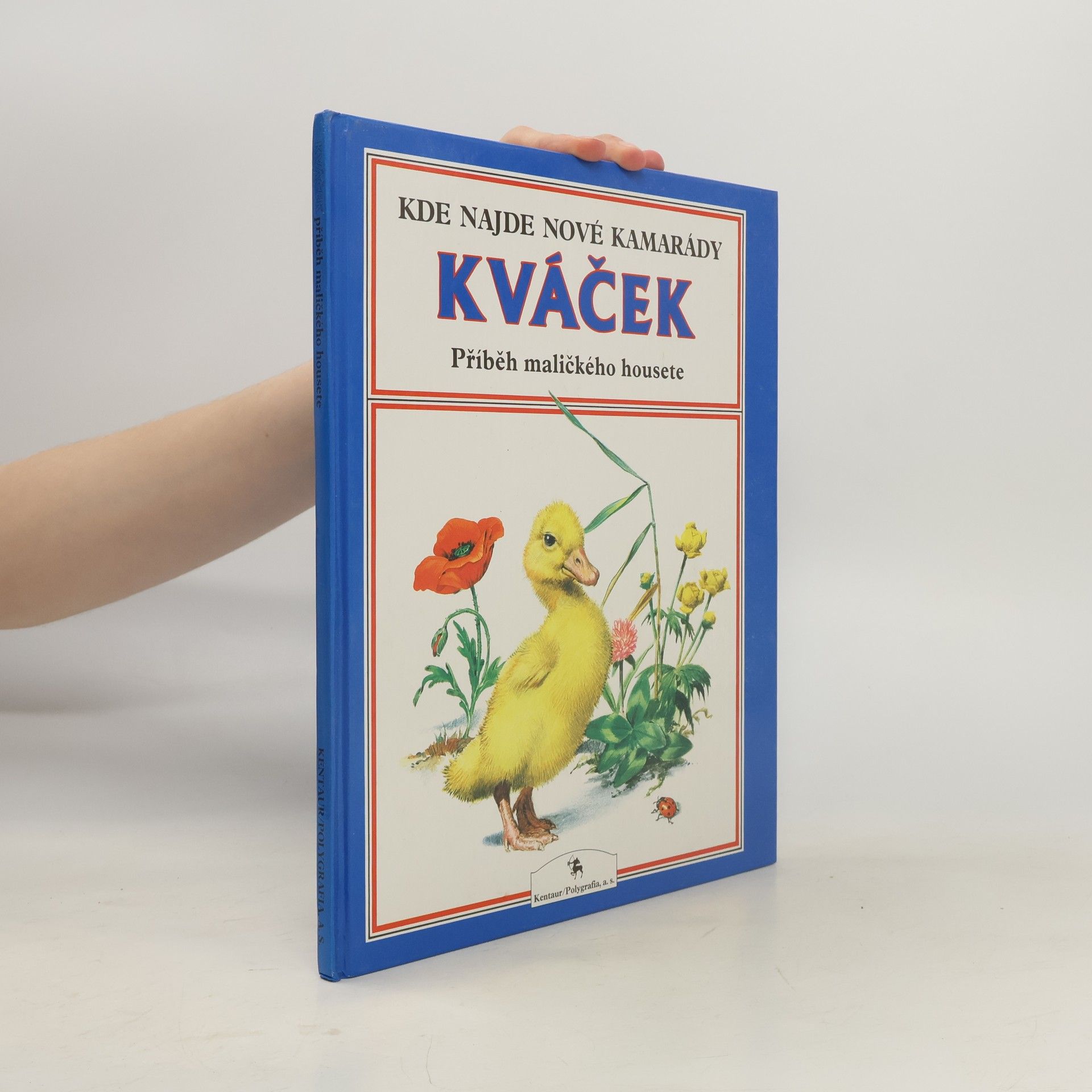 Holeinone Peter Kváček : příběh maličkého housete