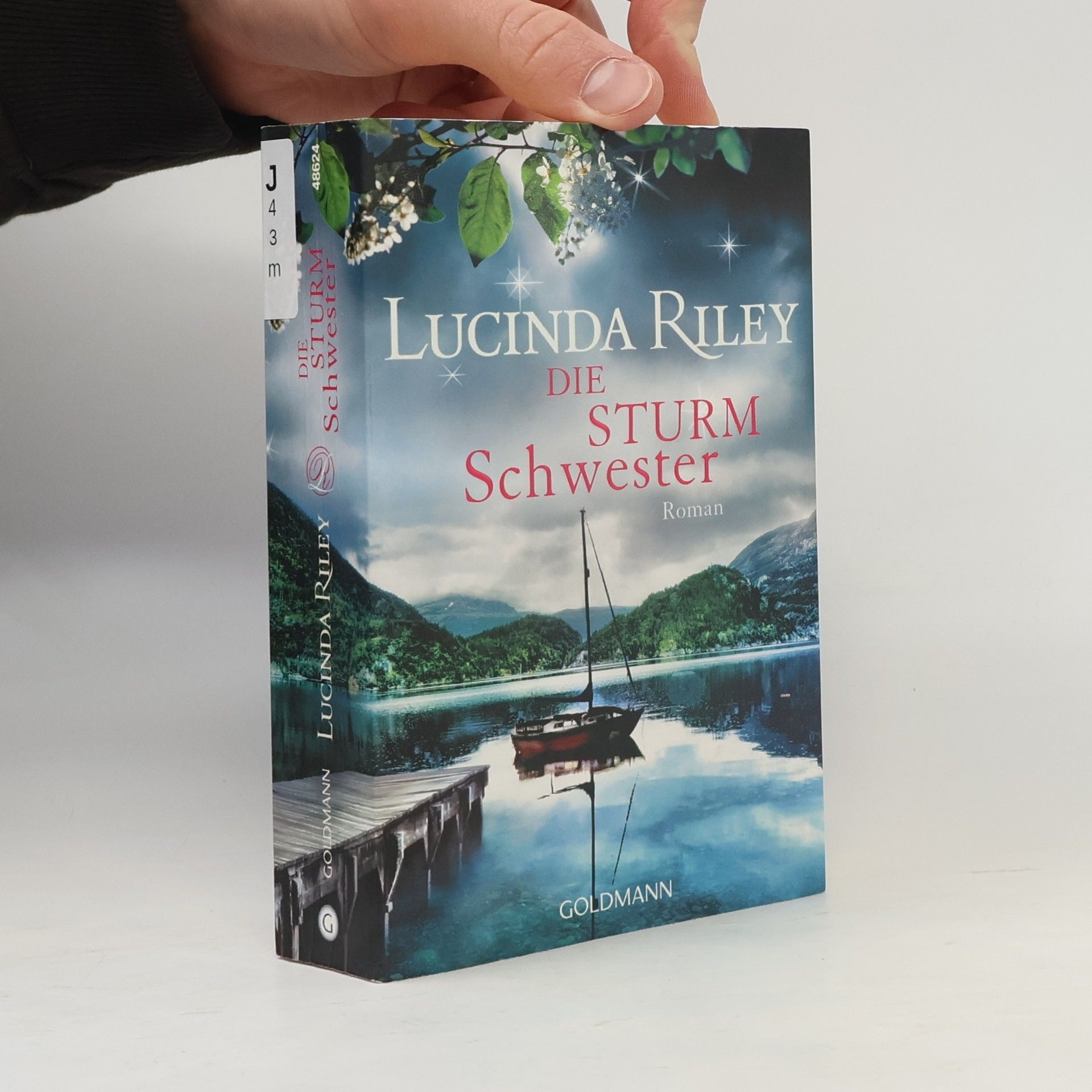 Lucinda Riley Die Sturmschwester