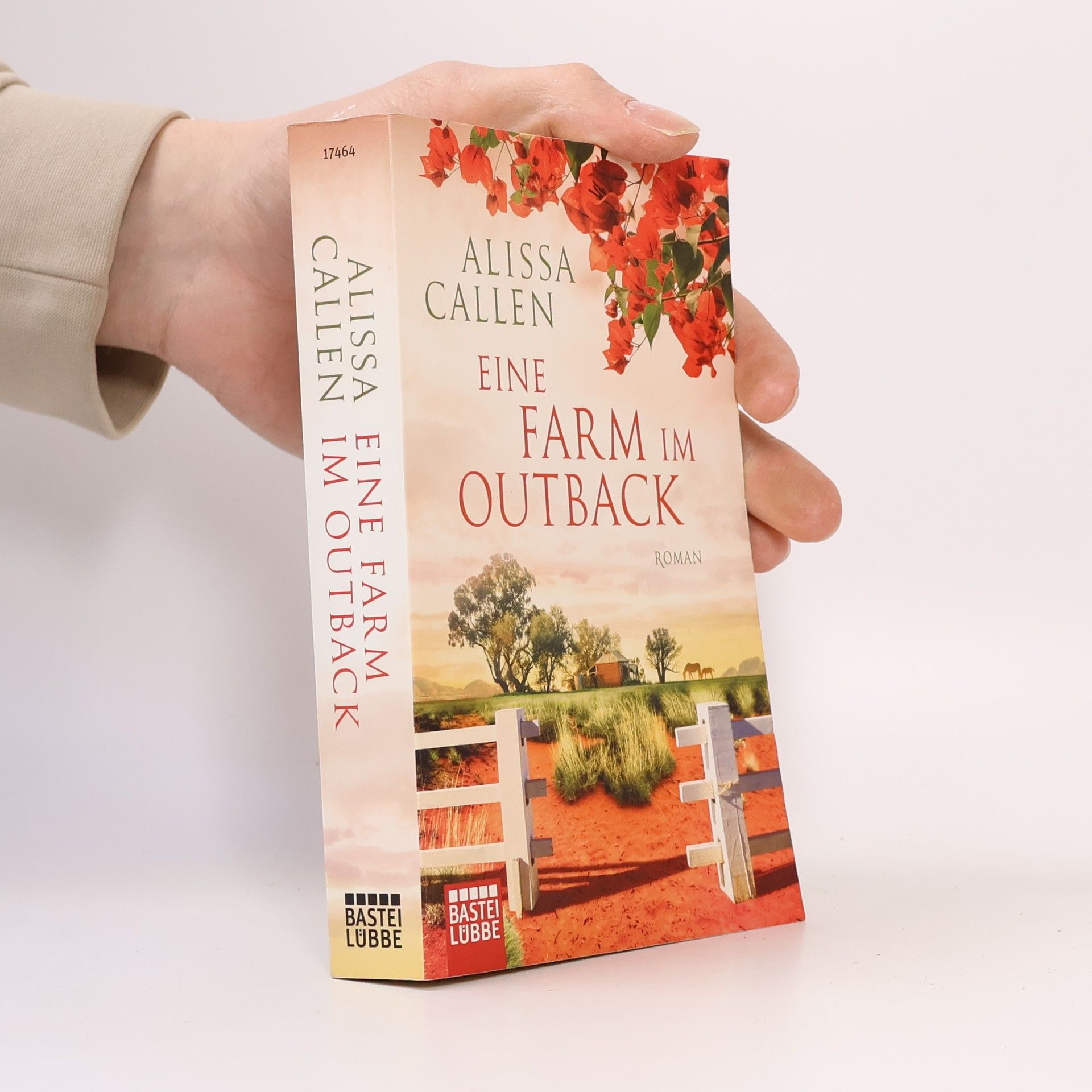 Alissa Callen Eine Farm im Outback