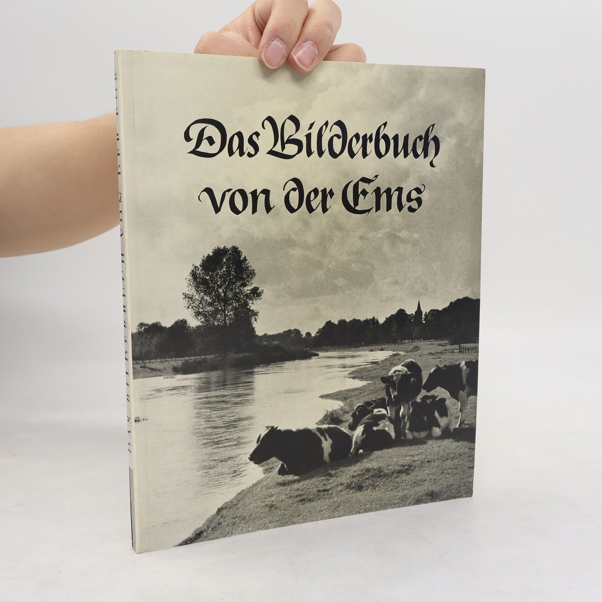 Various authors Das Bilderbuch von der Ems