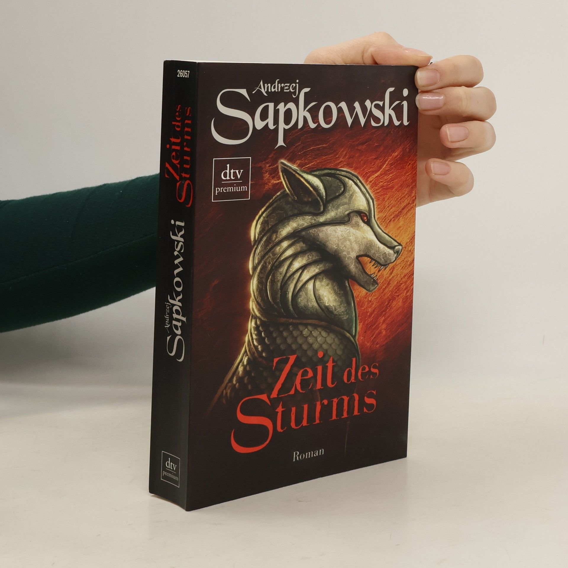 Andrzej Sapkowski Zeit des Sturms