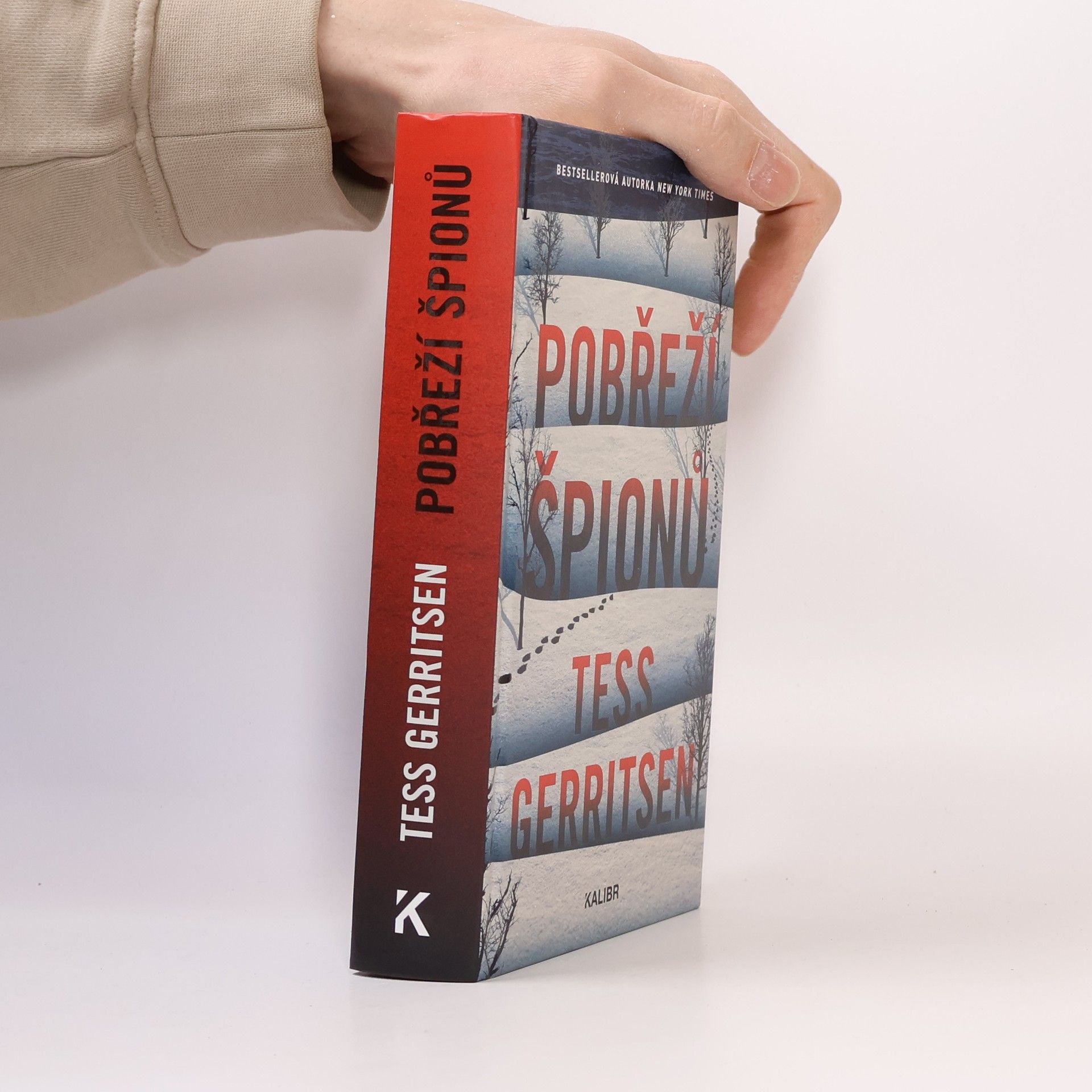 Tess Gerritsen Pobřeží špionů