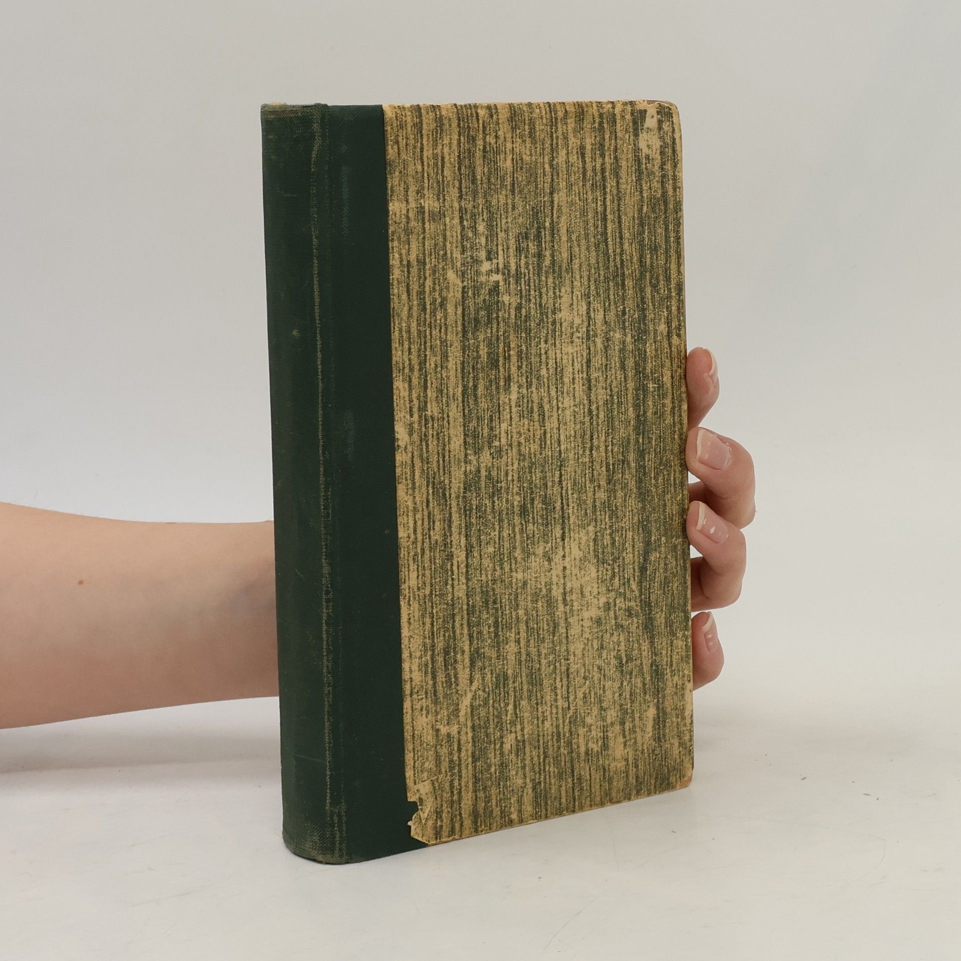 Maximilian Bern Die zehnte Muse