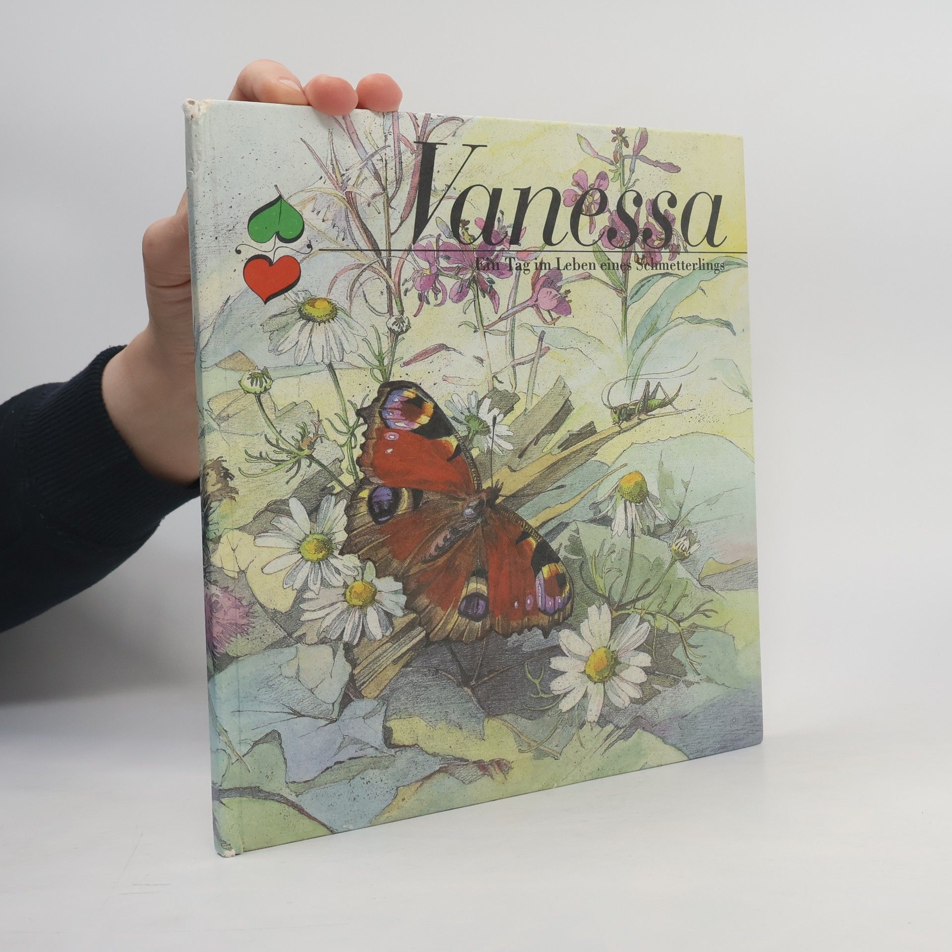 Autorenkollektiv Vanessa