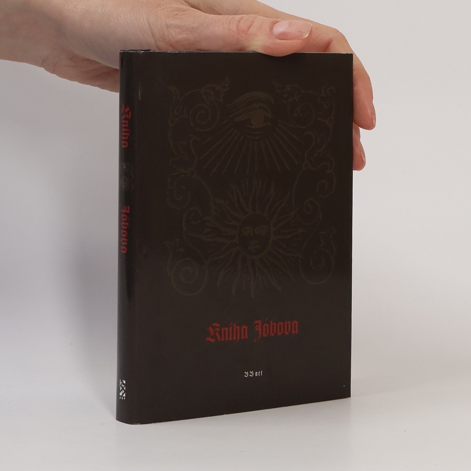 Kolektiv autorů Kniha Jóbova