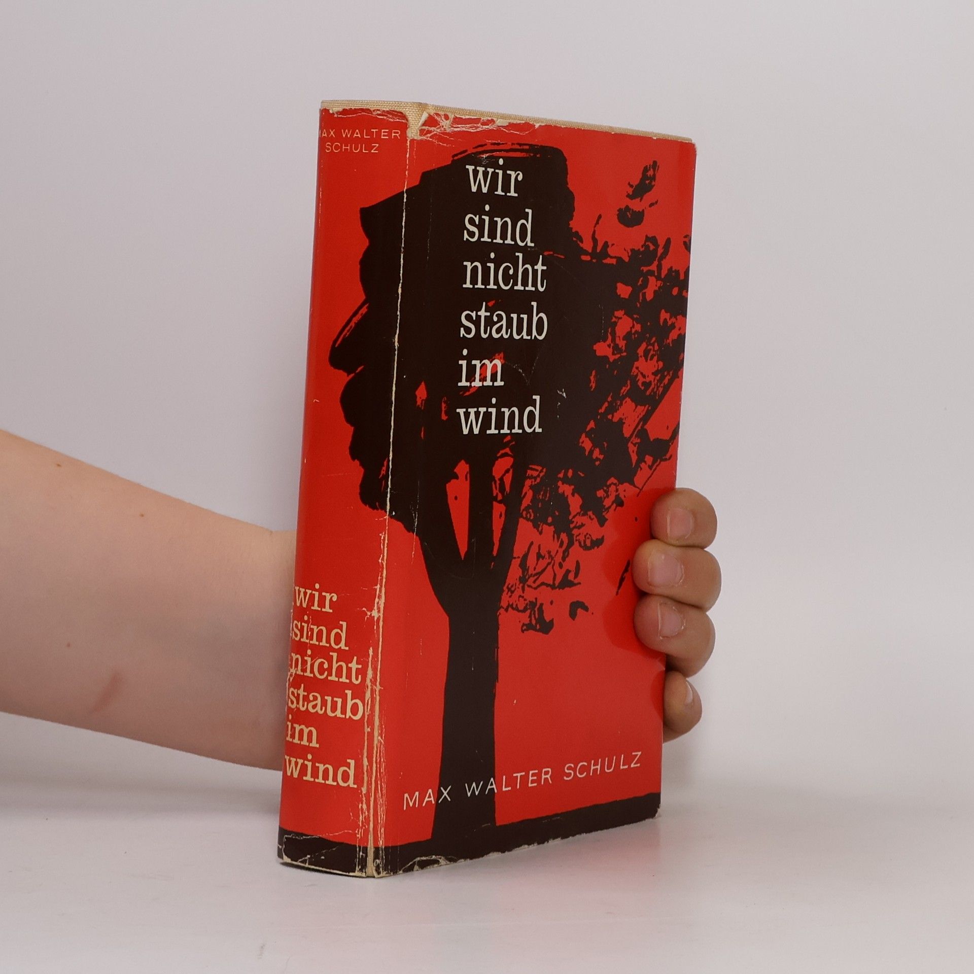 Max Walter Schulz Wir sind nicht staub im Wind