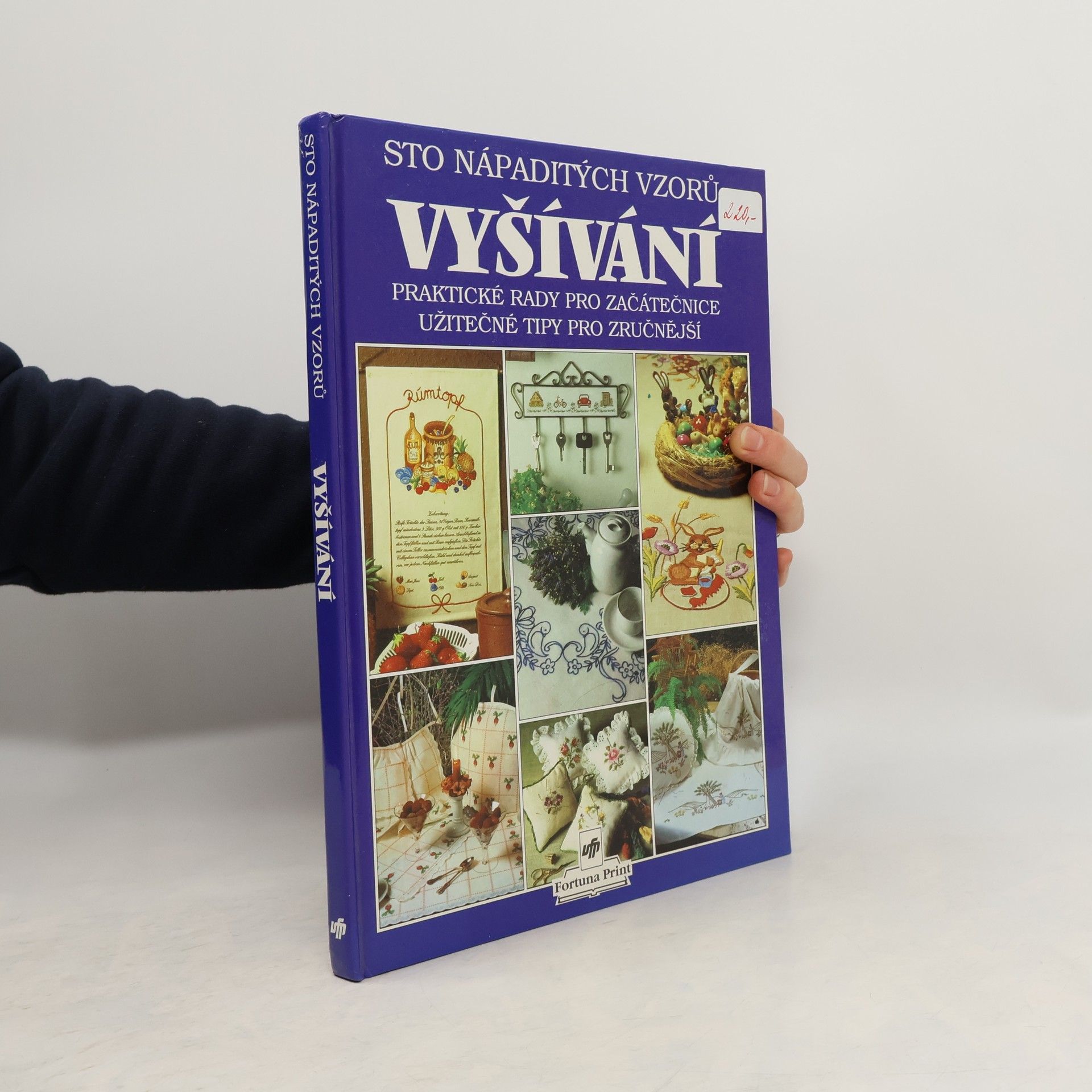 Alena Ducháčová Sto nápaditých vzorů vyšívání