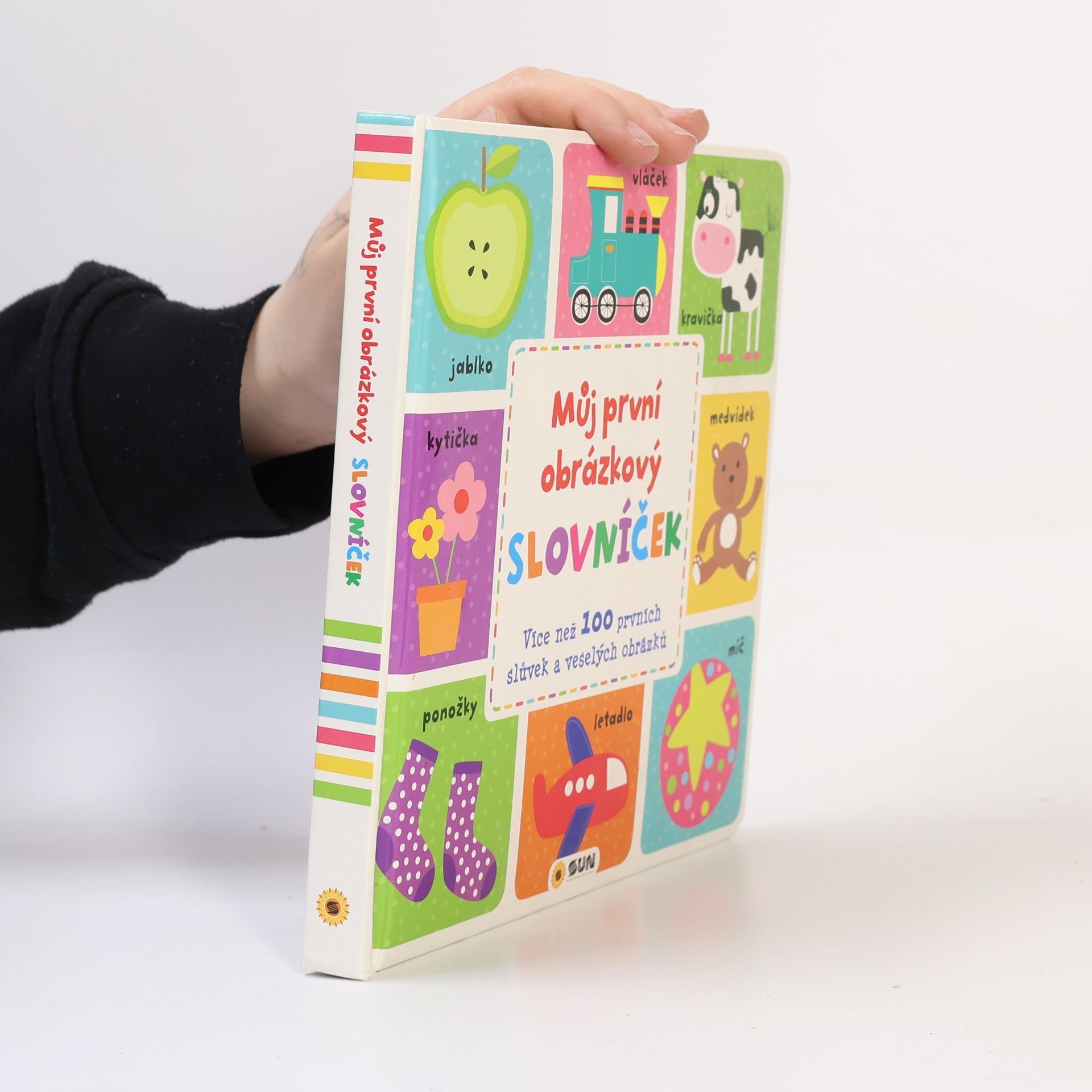 Richard Sykes Můj první obrázkový slovníček