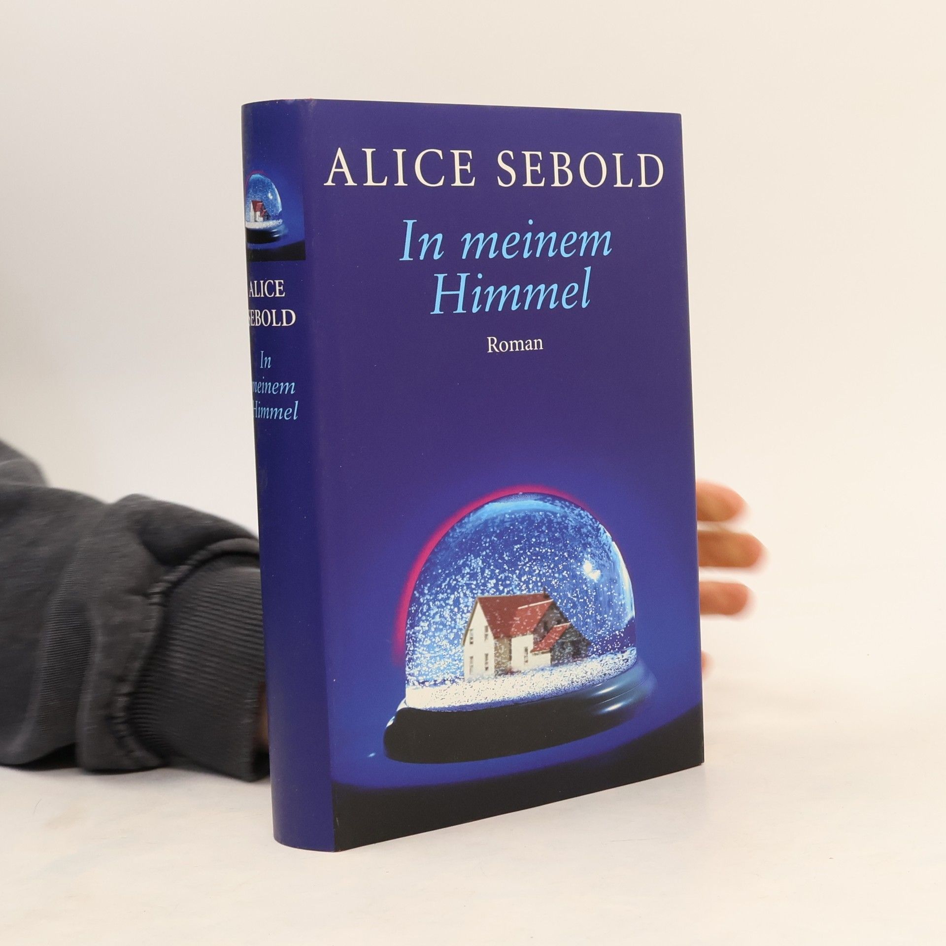Alice Sebold In meinem Himmel