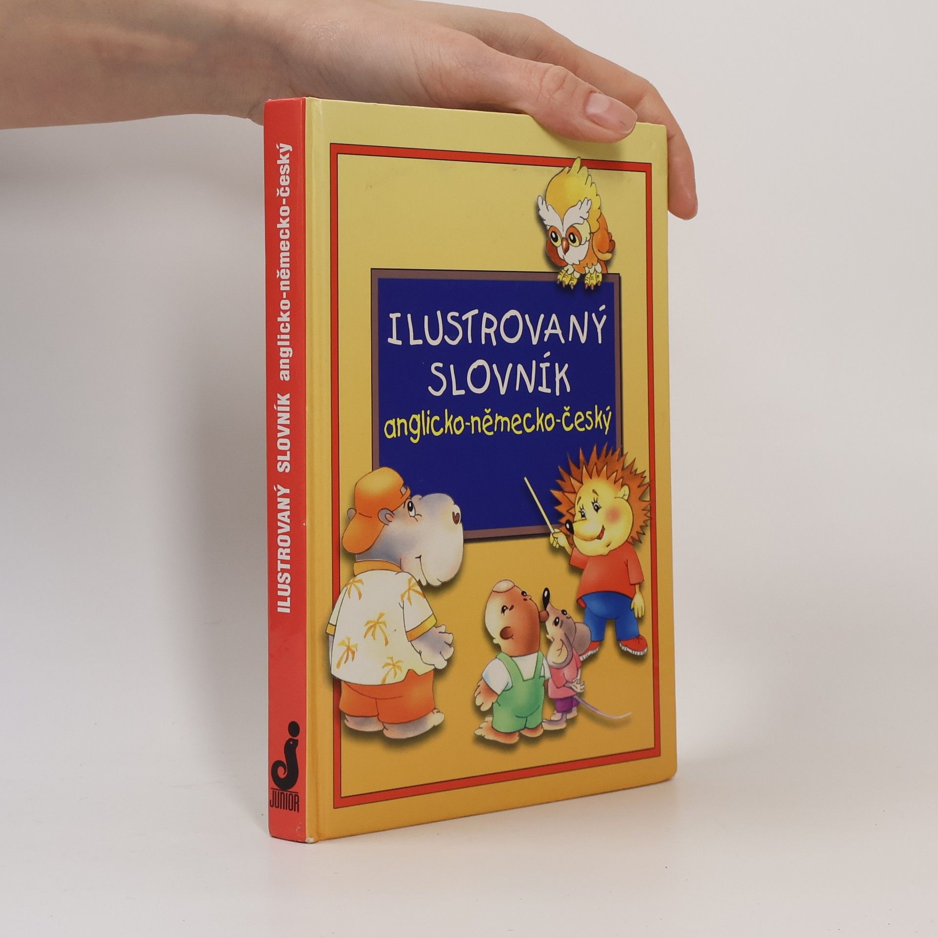 Alena Amchová Ilustrovaný slovník anglicko-německo-český