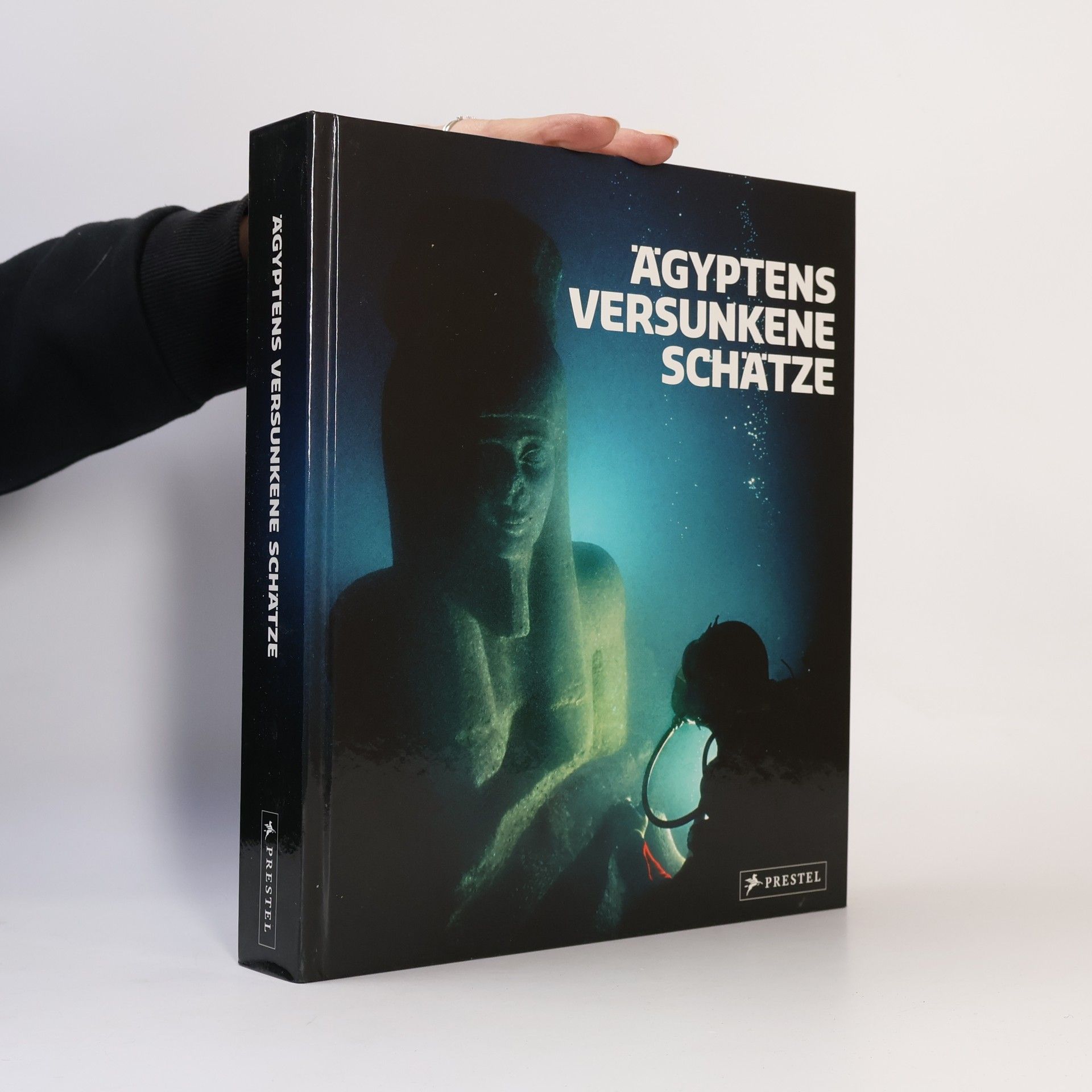 Franck Goddio Ägyptens versunkene Schätze