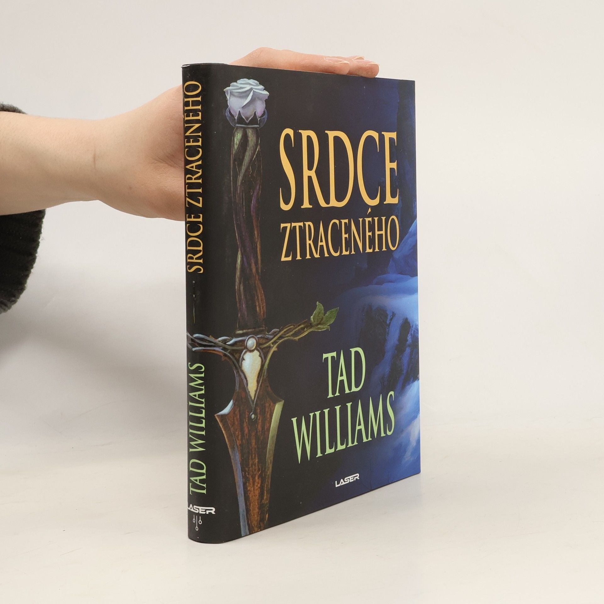 Tad Williams Srdce ztraceného