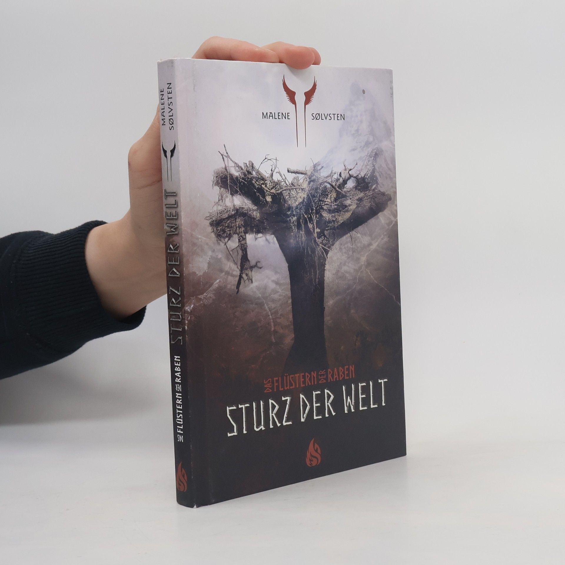 Malene Sølvsten Sturz der Welt - ein Flüstern der Raben-Kurzroman