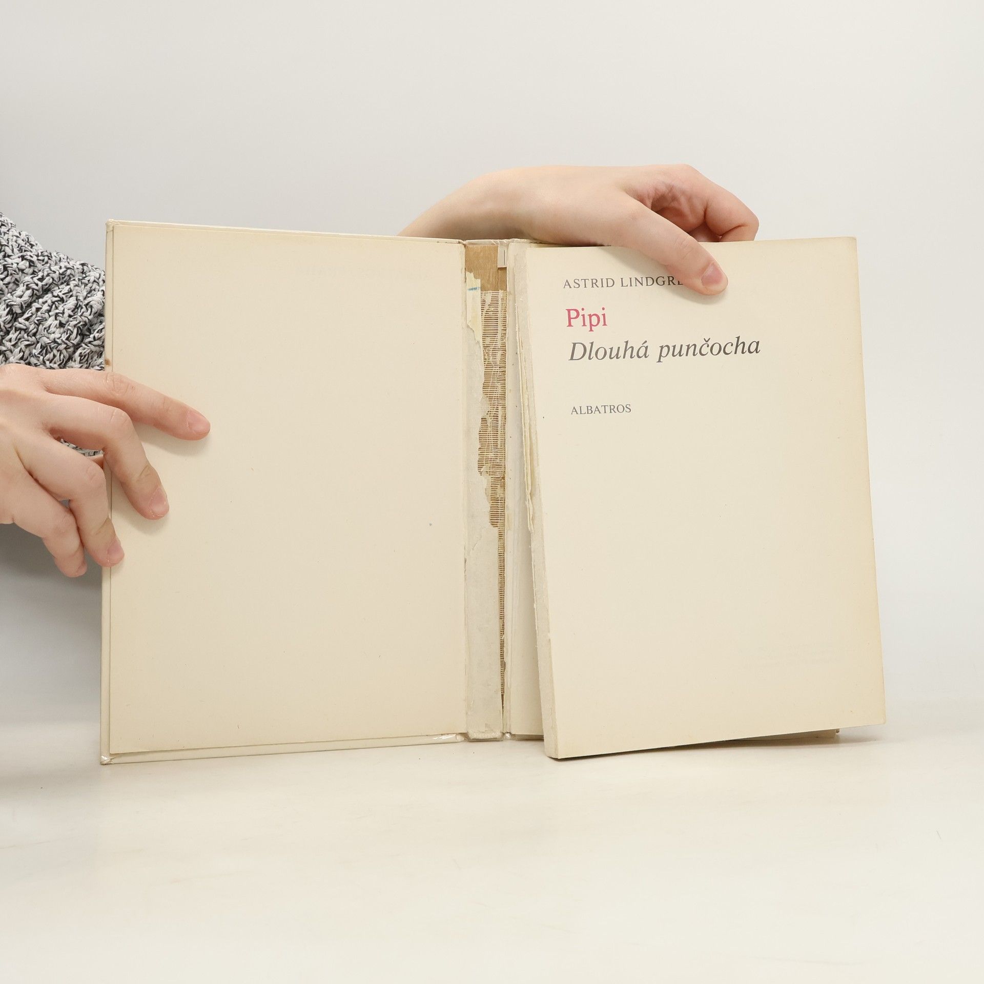 Astrid Lindgren Pipi Dlouhá punčocha