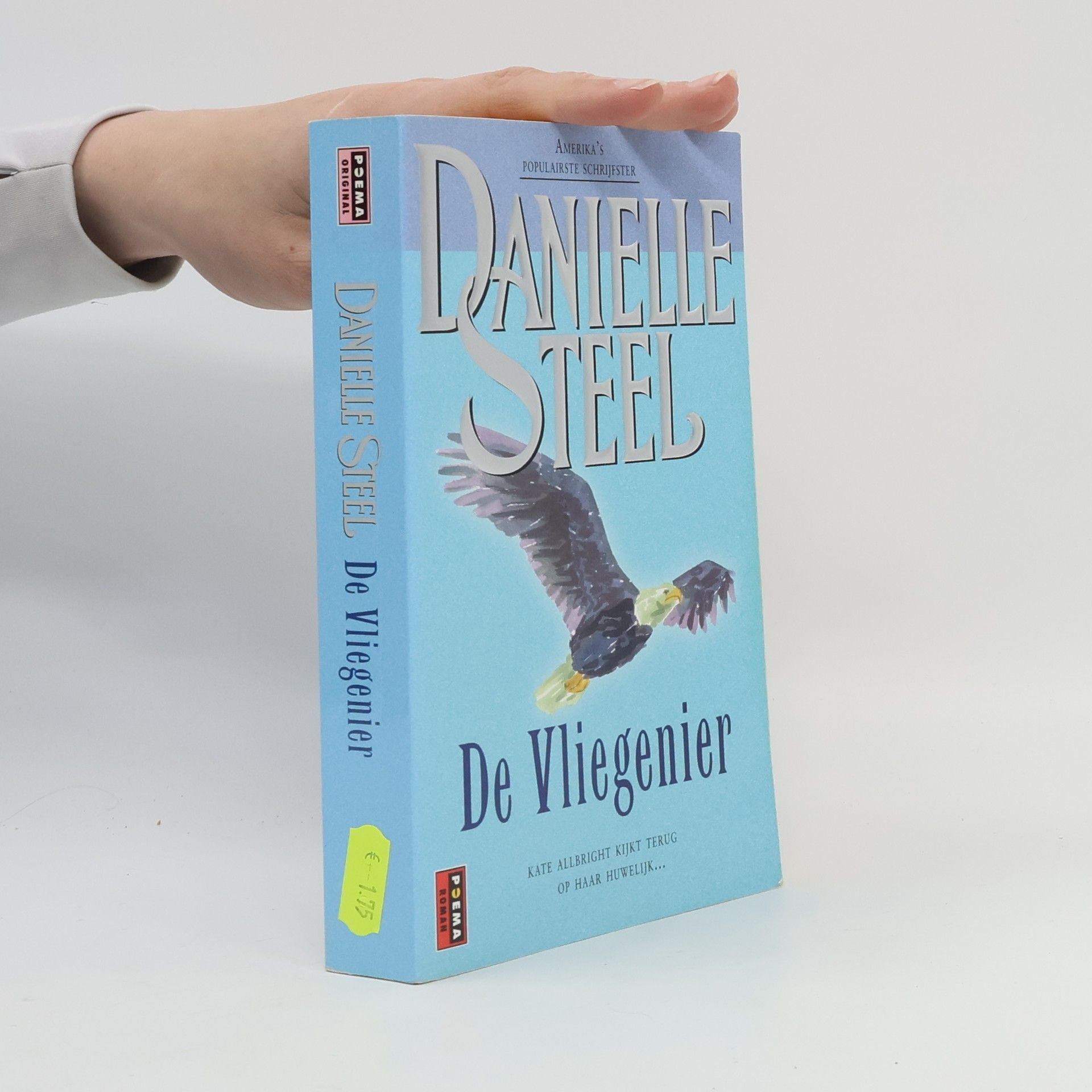 Danielle Steel De vliegenier