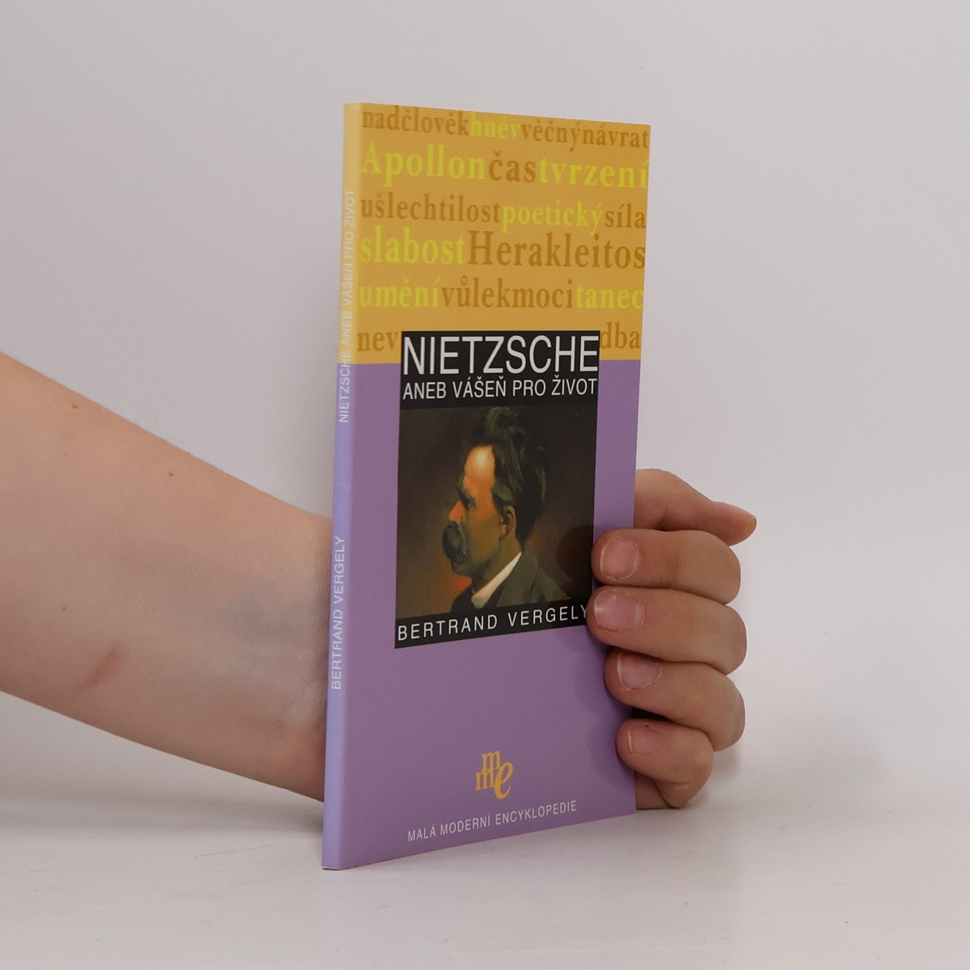 Bertrand Vergely Nietzsche aneb Vášeň pro život