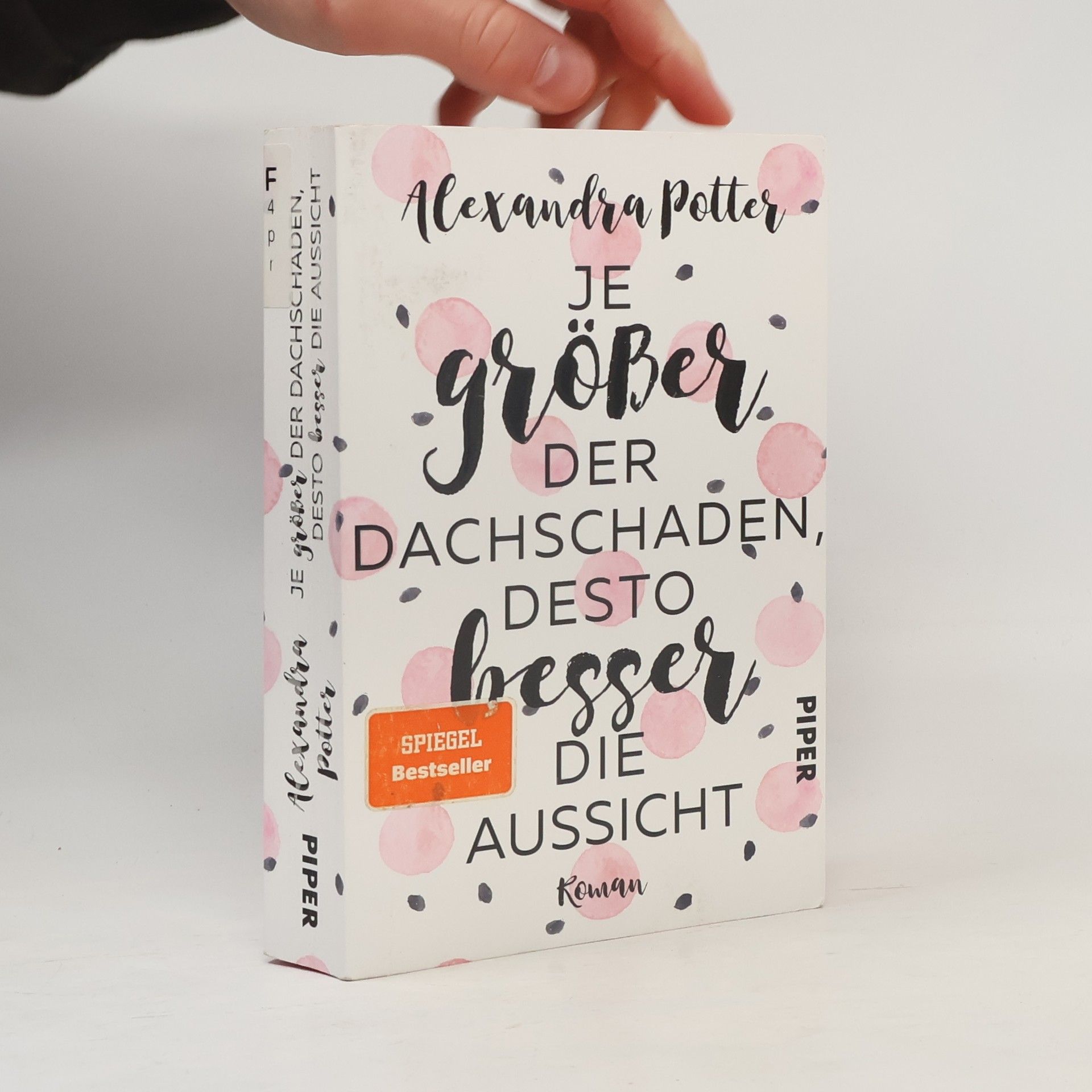 Alexandra Potter Je größer der Dachschaden, desto besser die Aussicht