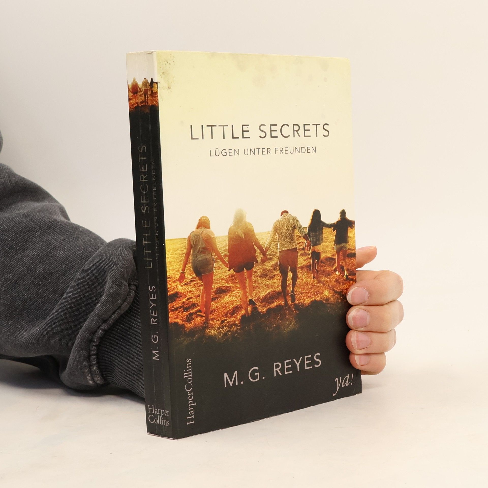 M. G. Reyes Little secrets - Lügen unter Freunden