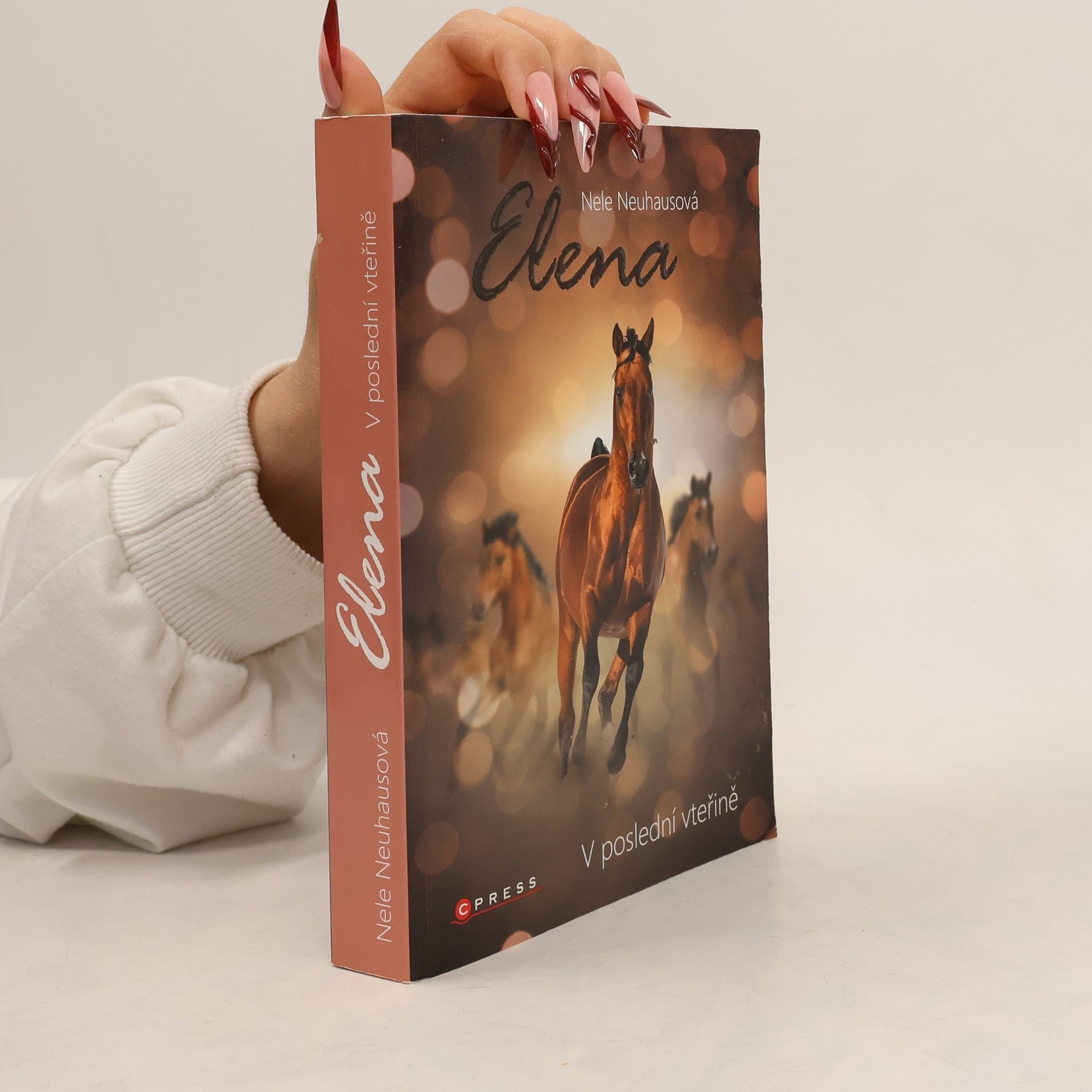 Nele Neuhaus Elena: V poslední vteřině