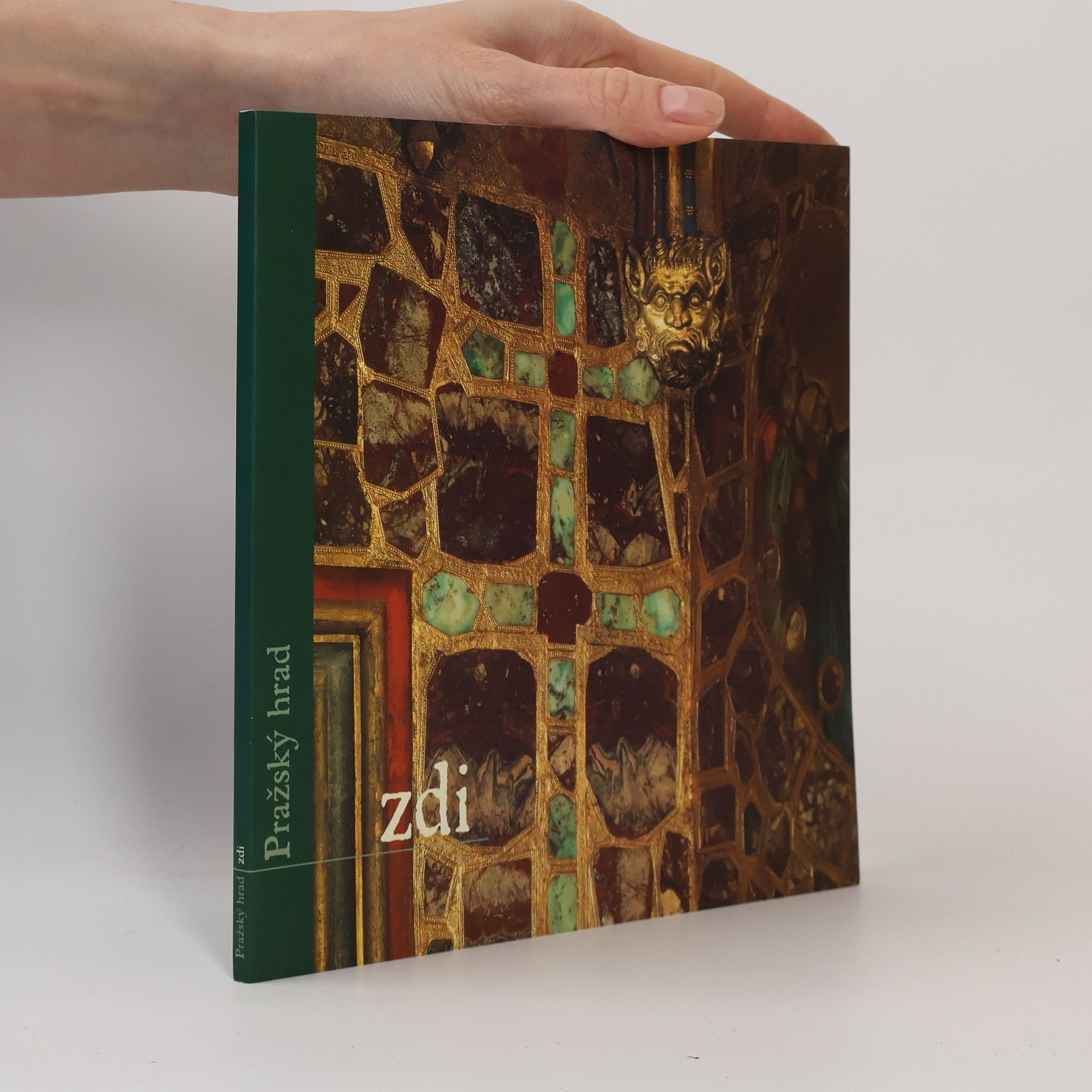 Pavel Štecha Pražský hrad - zdi