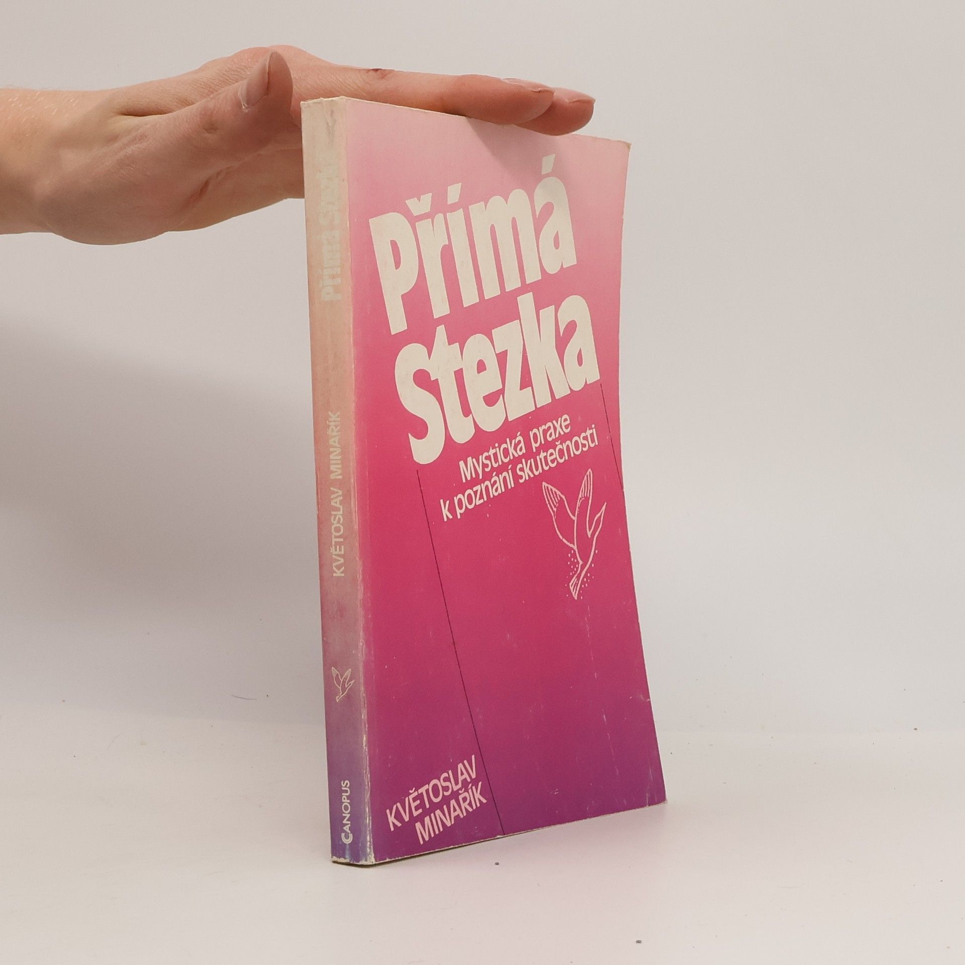 Květoslav Minařík Přímá stezka