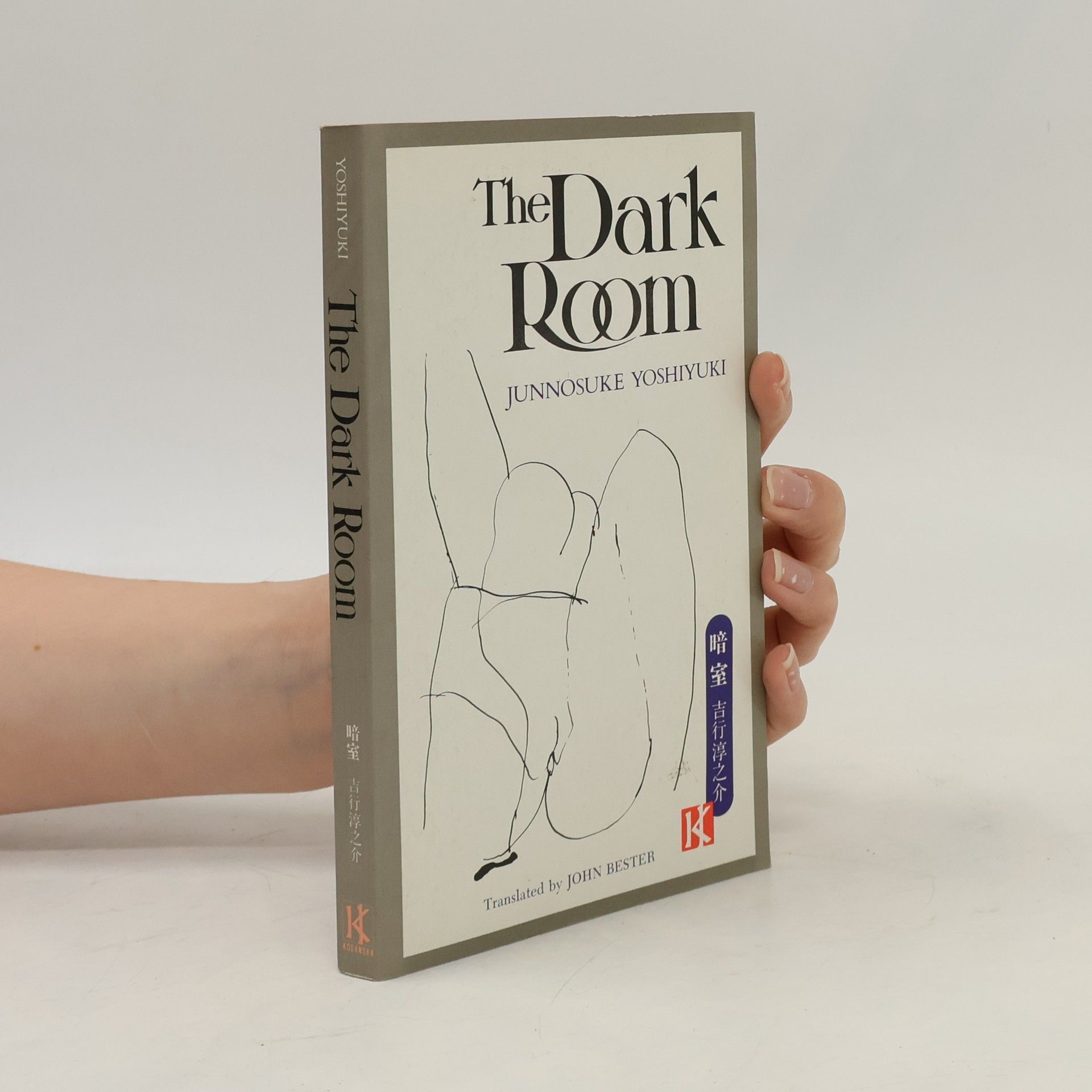 Junnosuke Yoshiyuki The Dark Room