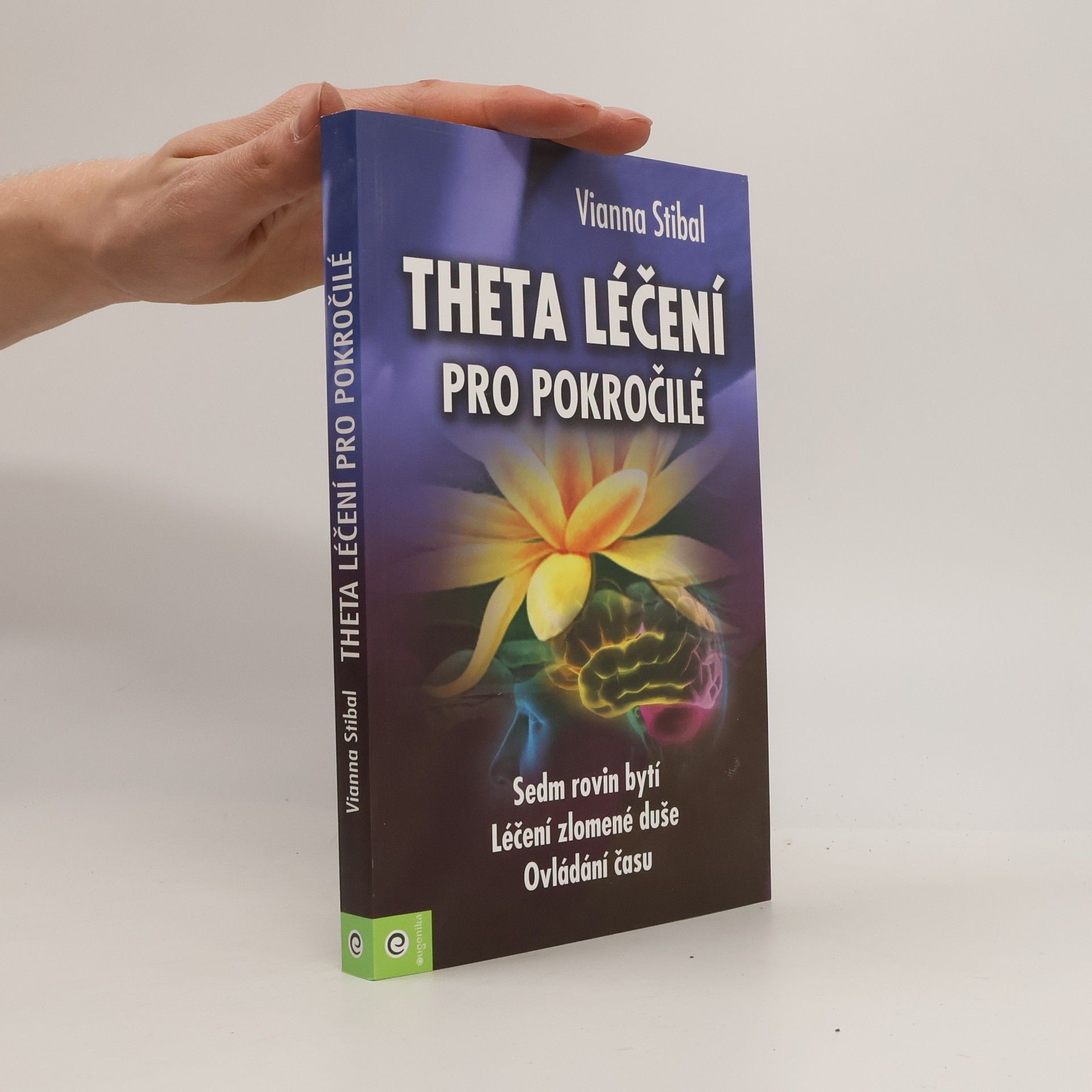 Vianna Stibal Theta léčení pro pokročilé
