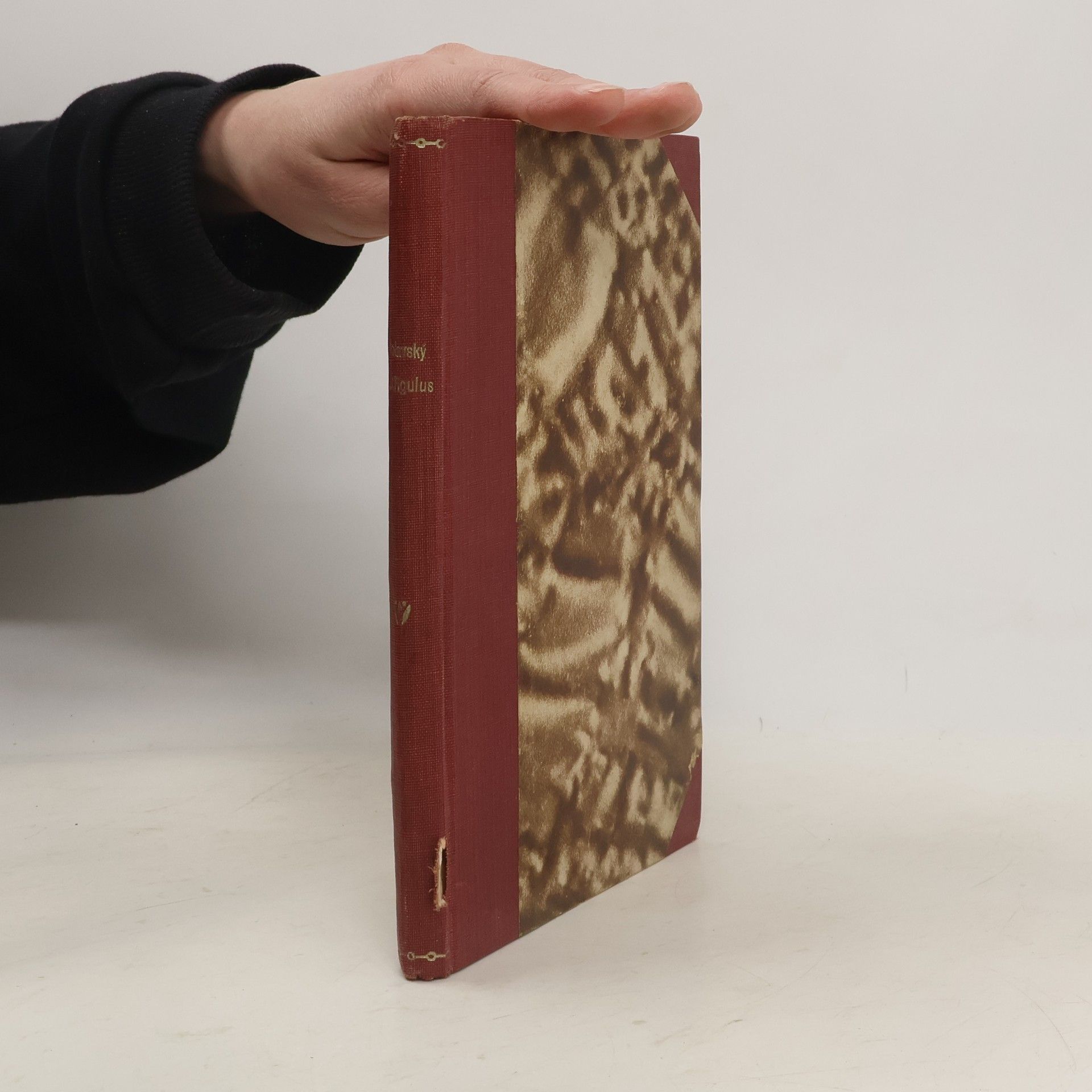 Polavský Arnošt J.V. Figulus a jeho africká dobrodružství