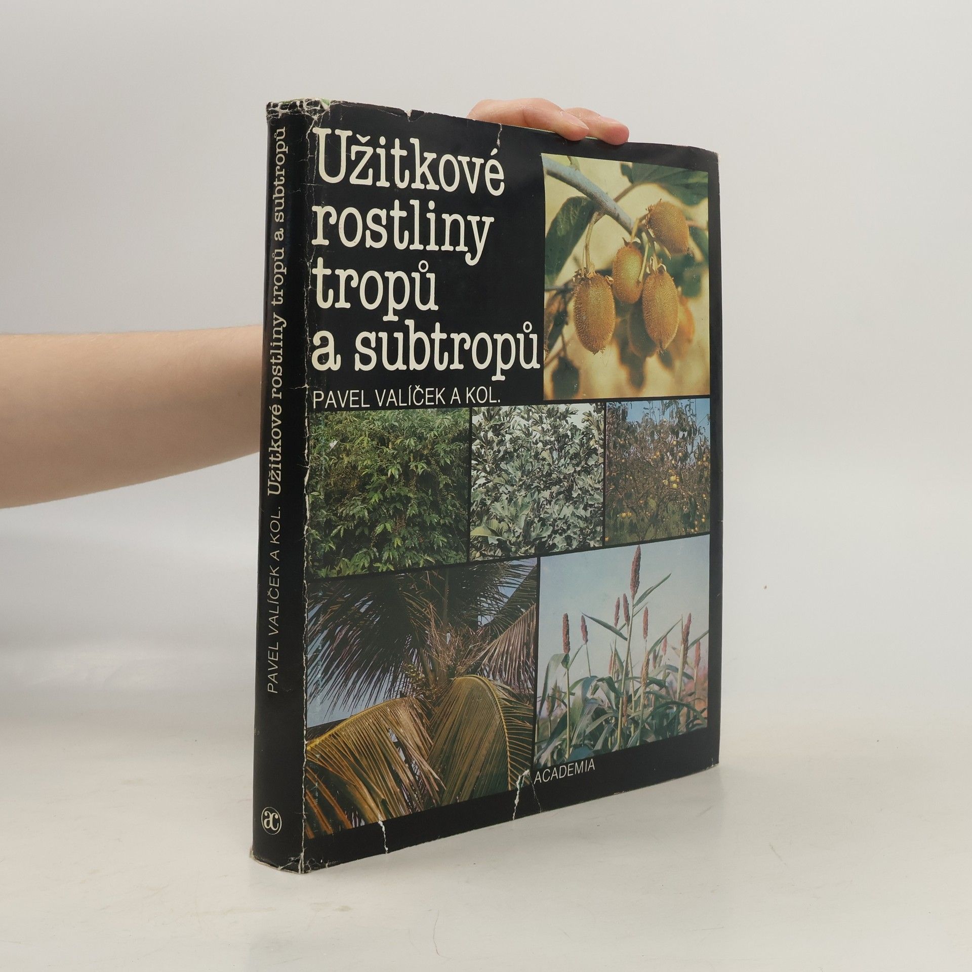 Pavel Valíček Užitkové rostliny tropů a subtropů