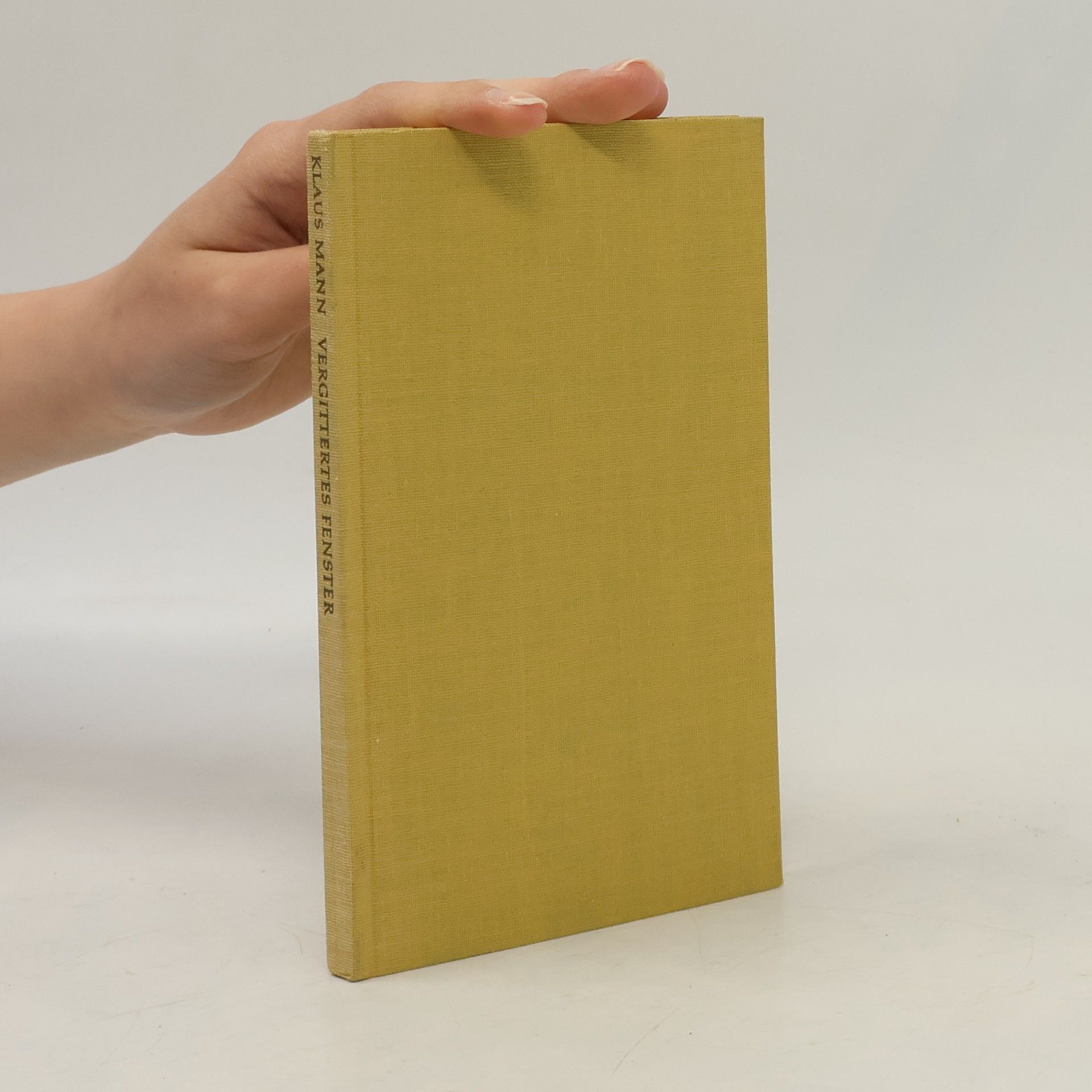 Klaus Mann Vergittertes Fenster